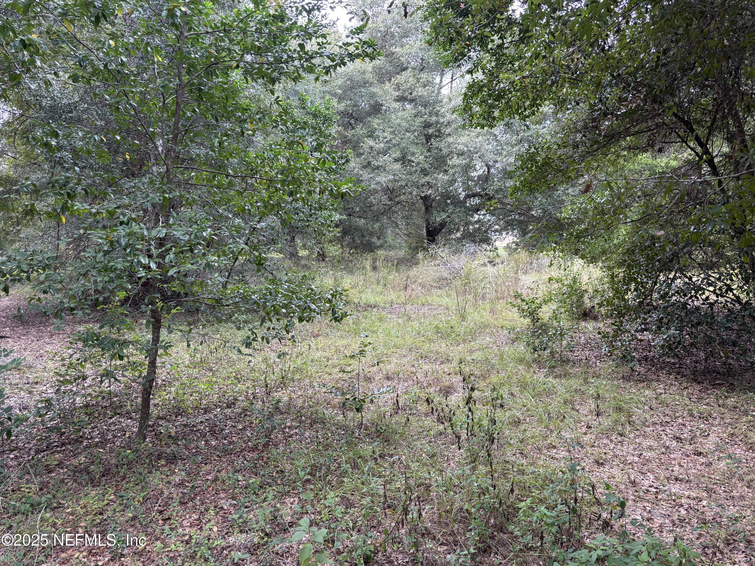 Apopka, Florida, 32712, United States, ,Land,For Sale,1993065