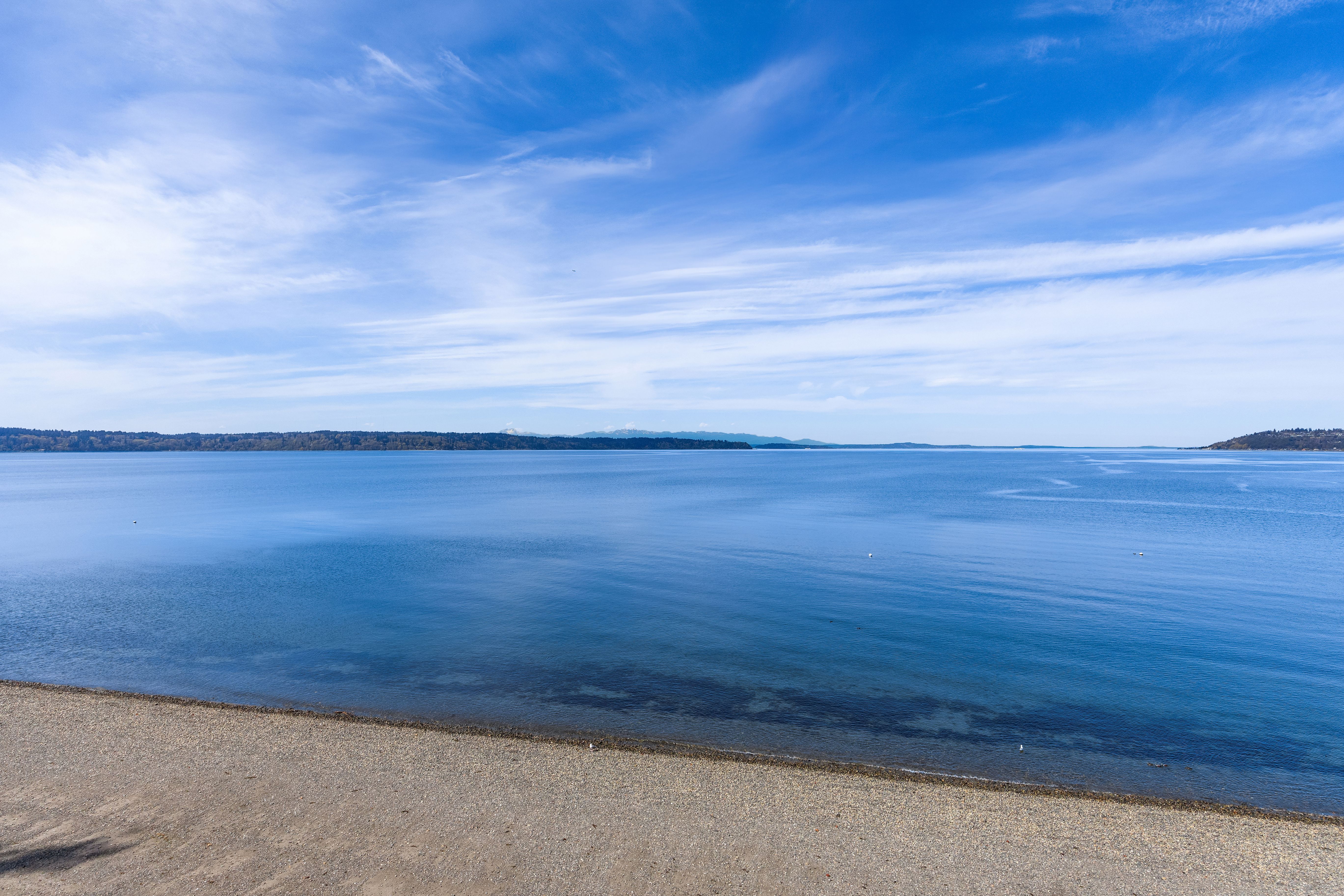  16611 Maplewild Ave SW, Burien, WA 98166 - 物件實景