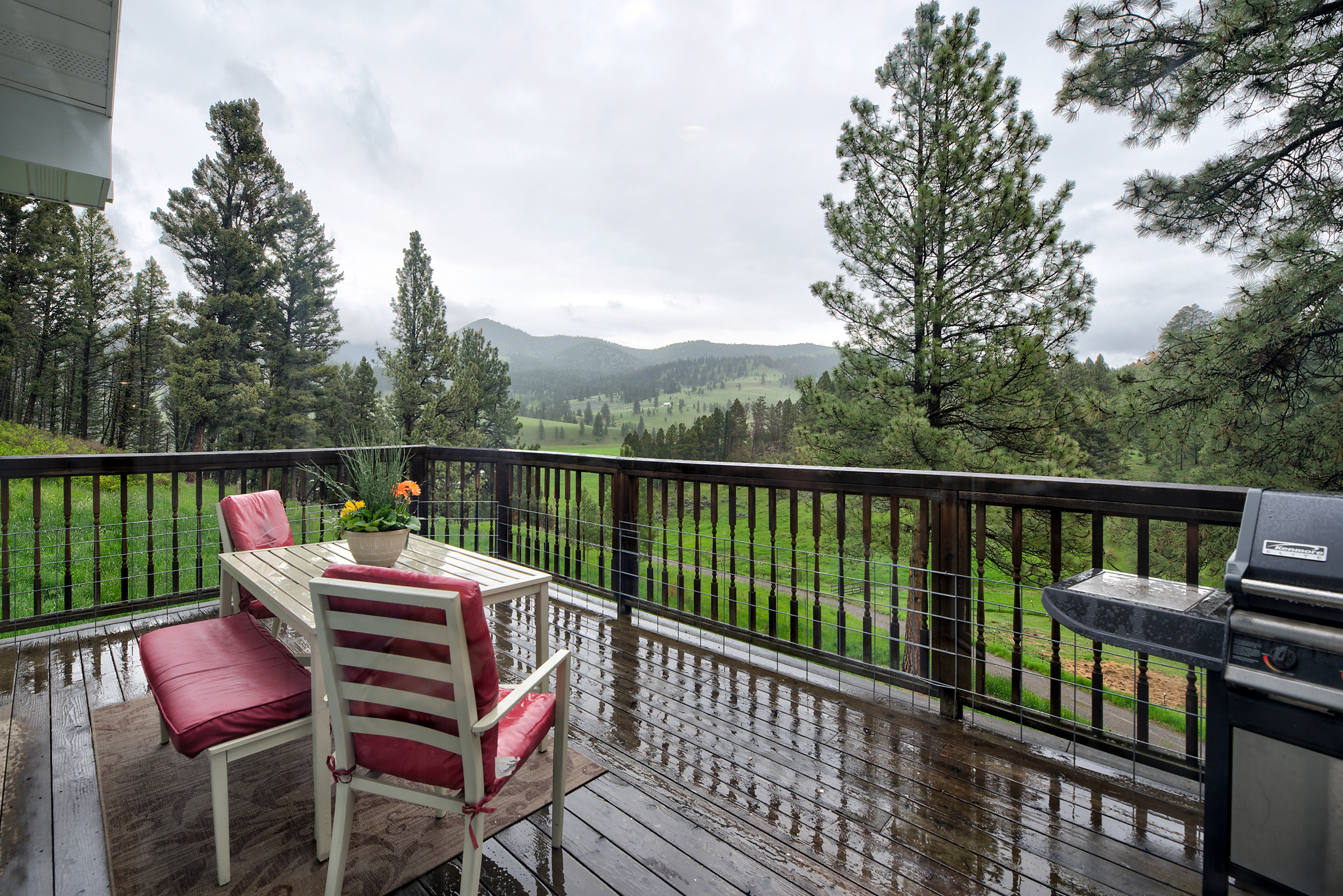 Helmville, Montana, 59743, United States, 3 Bedrooms Bedrooms, ,4 BathroomsBathrooms,Residential,For Sale,1975948