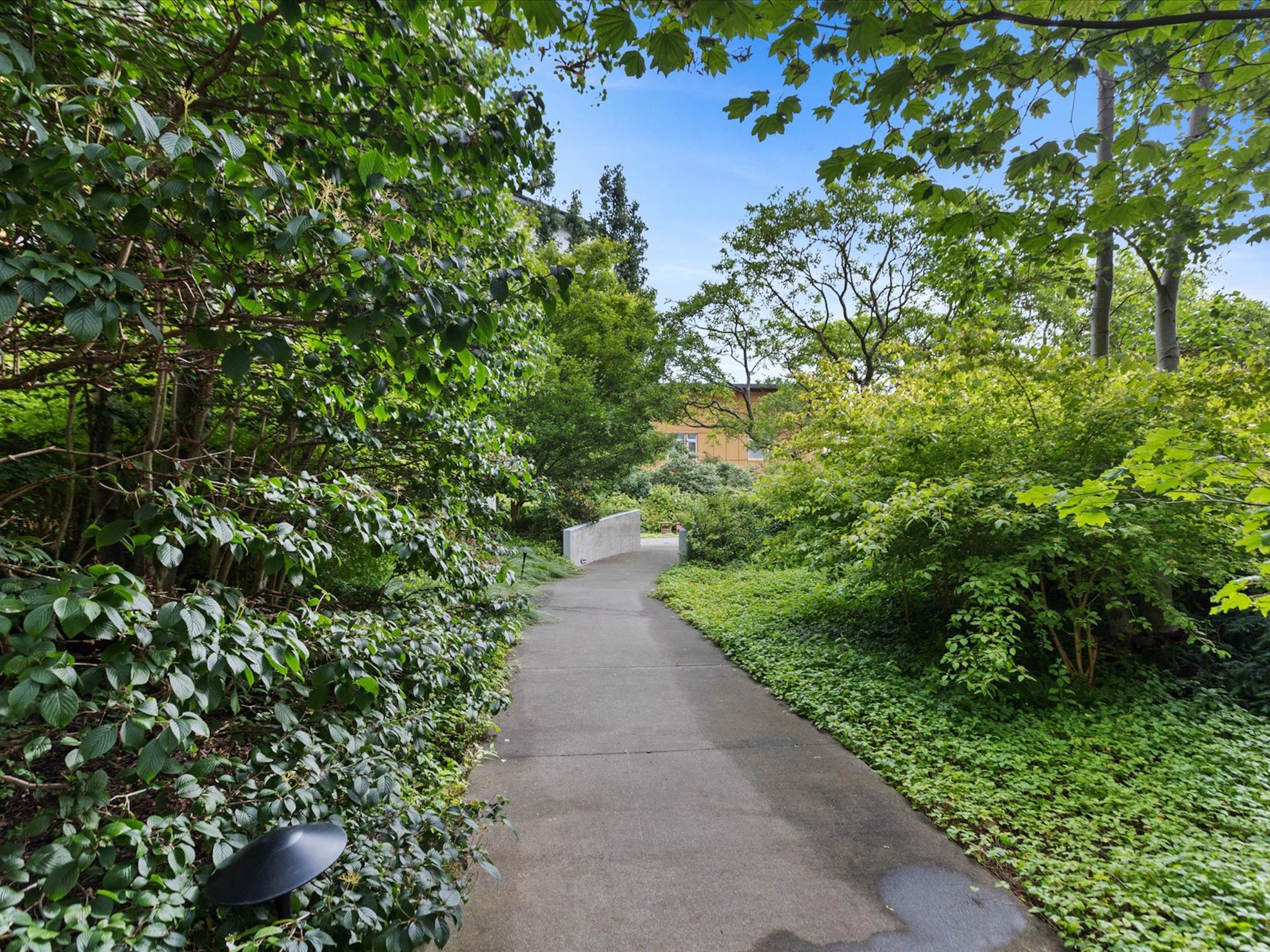  Breathtaking Mountain View Condo - 物件實景