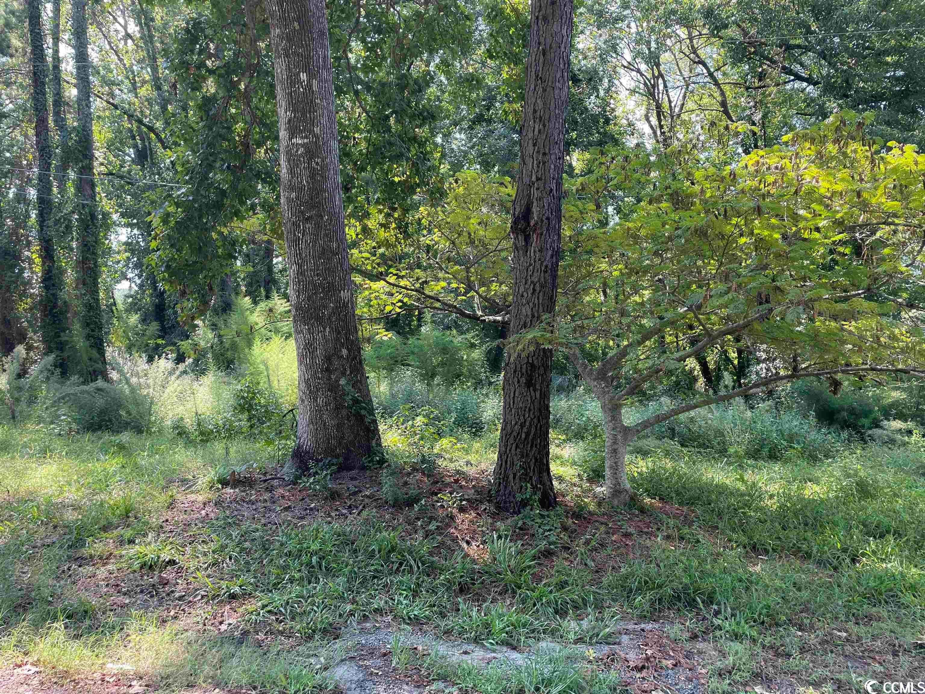 2801 Little River Neck Rd., North Myrtle Beach, South Carolina, 29582, United States, ,Residential,For Sale,2801 Little River Neck Rd.,1607271