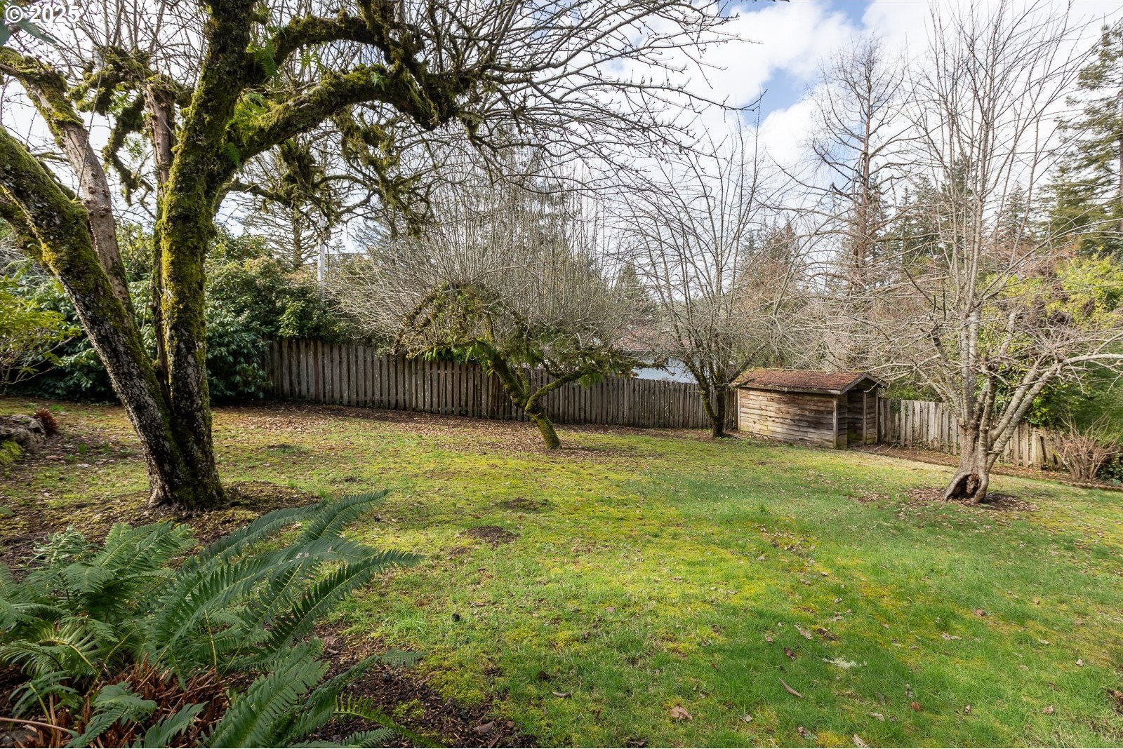 Toledo, Oregon, 97391, United States, 6 Bedrooms Bedrooms, ,4 BathroomsBathrooms,Residential,For Sale,1722214