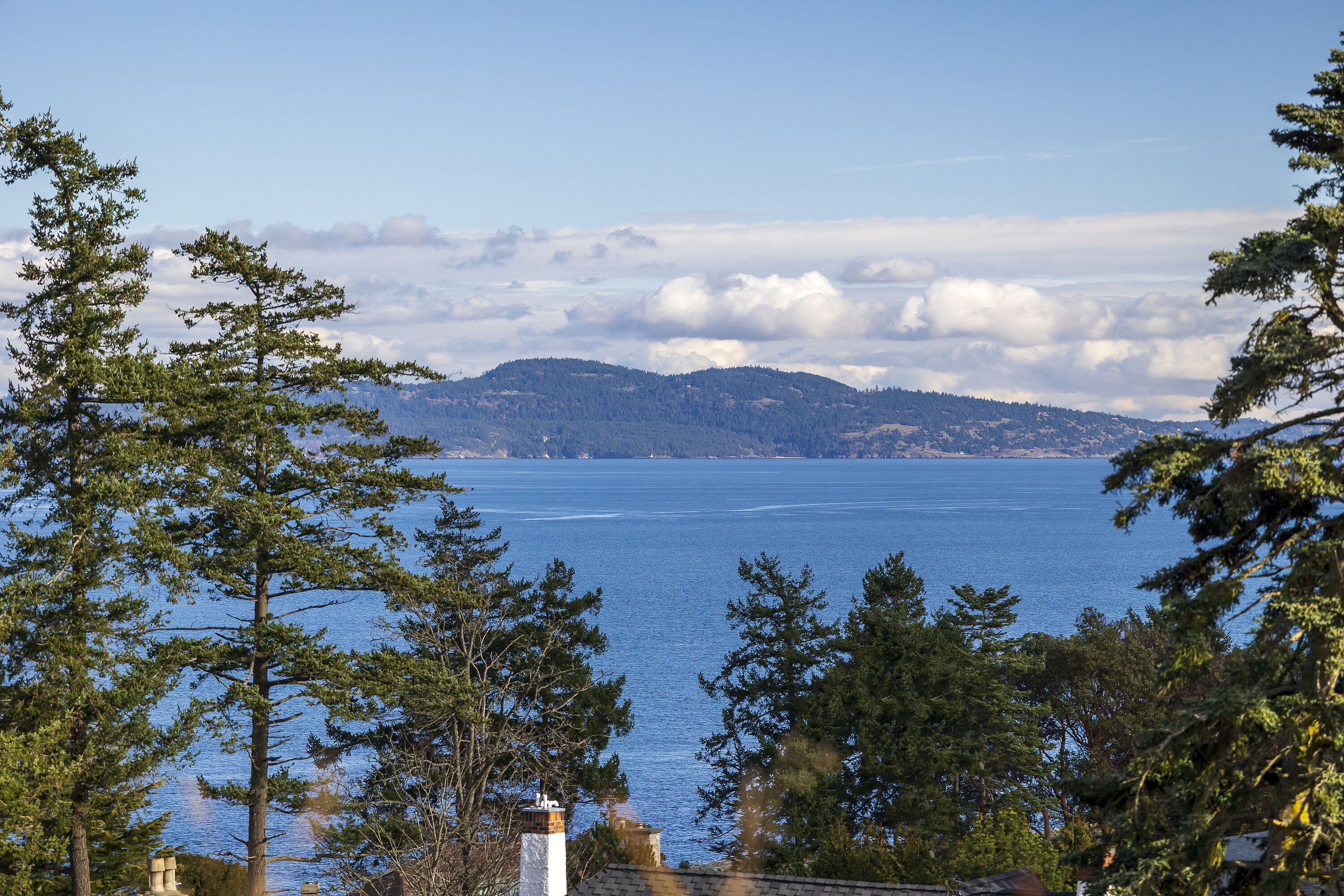  Local Treasure - 物件實景