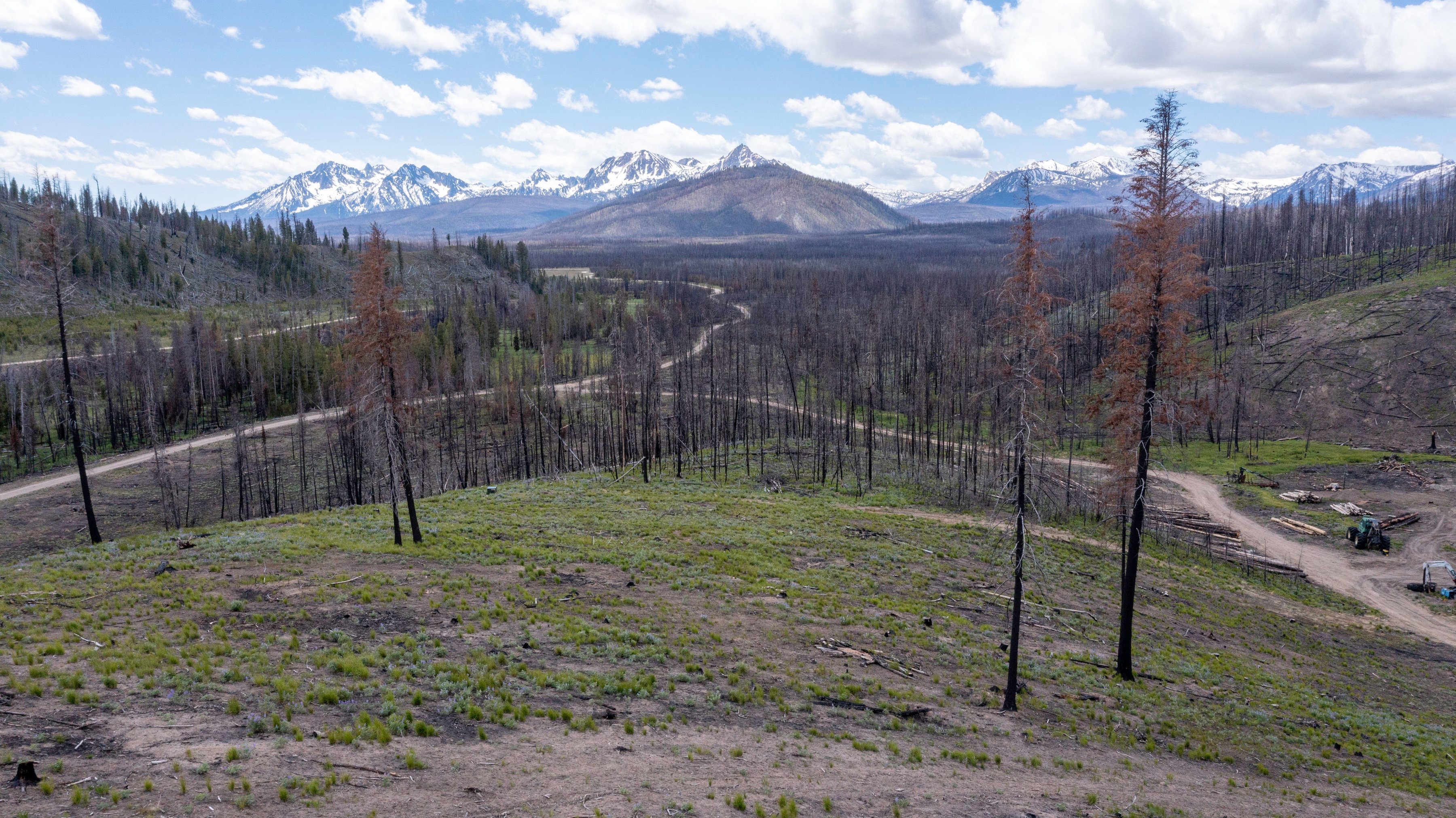  Rare Sawtooth Basin Homesite Near Stanley - 物件實景