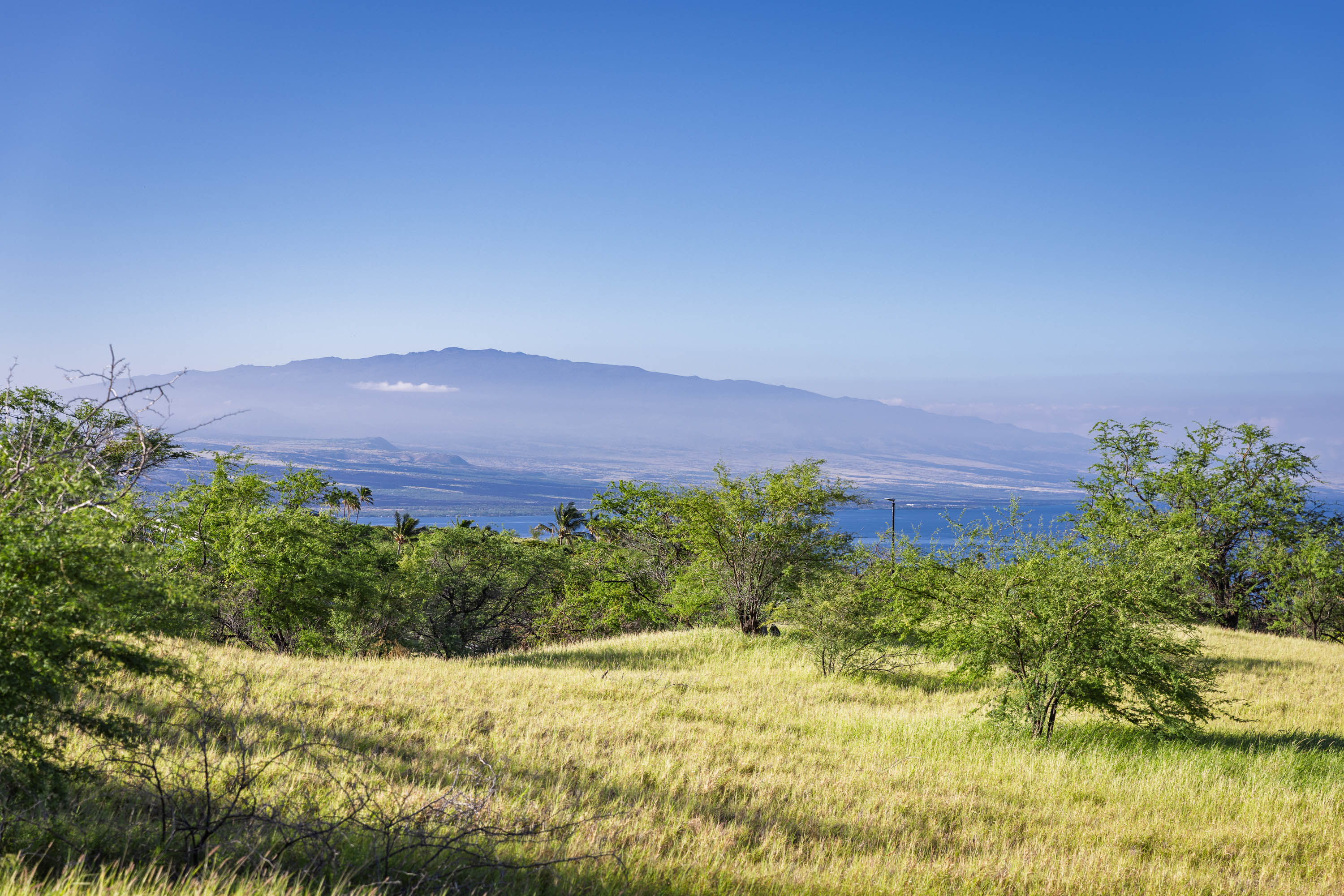  59-670 Kaala Road, Kamuela, HI, 96743 - 物件實景