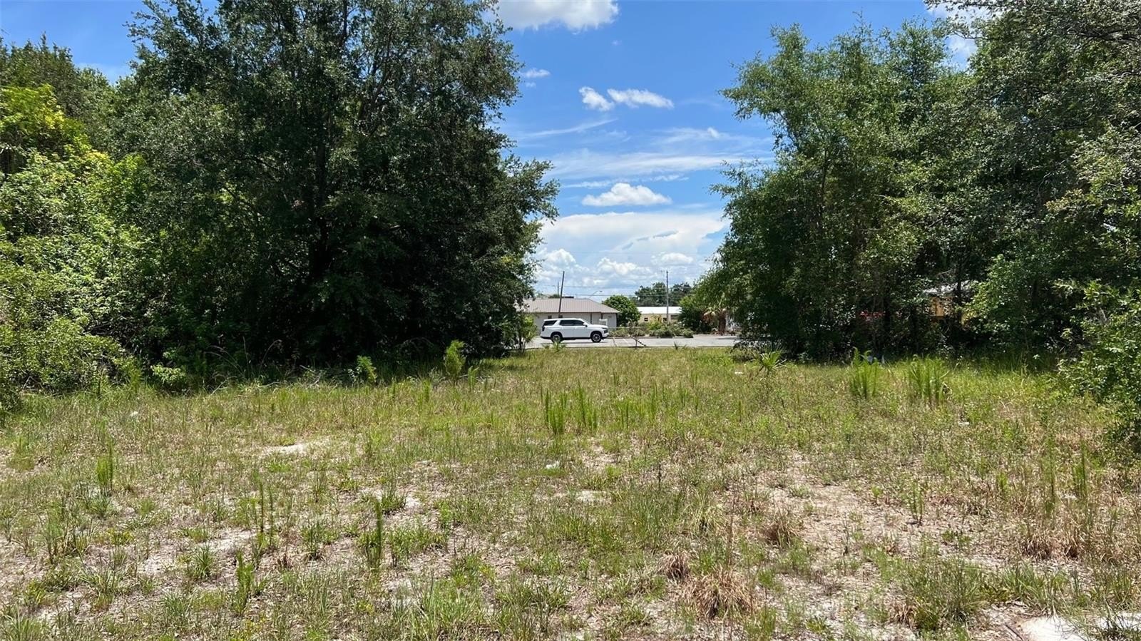 AUBURNDALE, Florida, 33823, United States, ,Land,For Sale,1977523