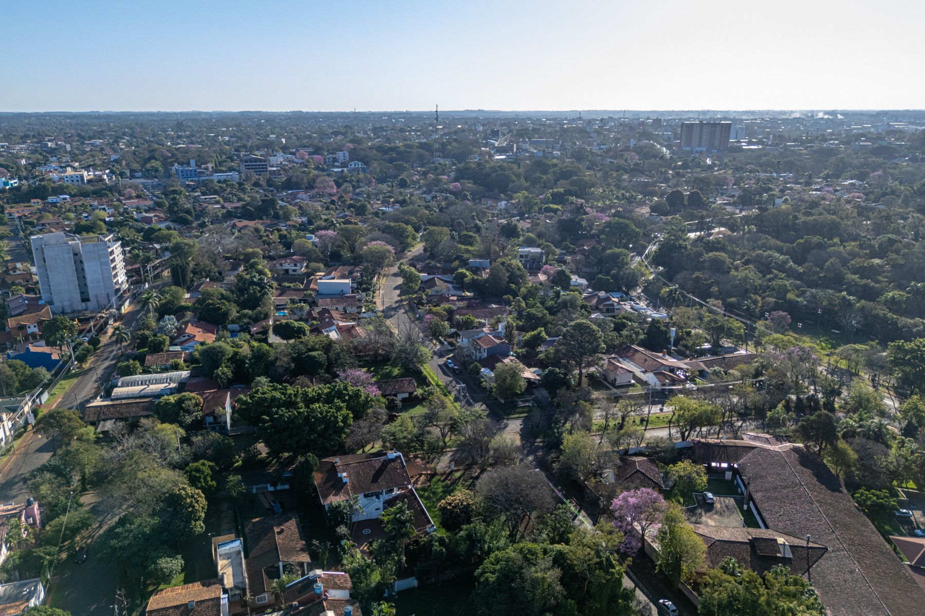  Exclusive Large-Scale Lot in Área 1, Ciudad del Este - 物件實景