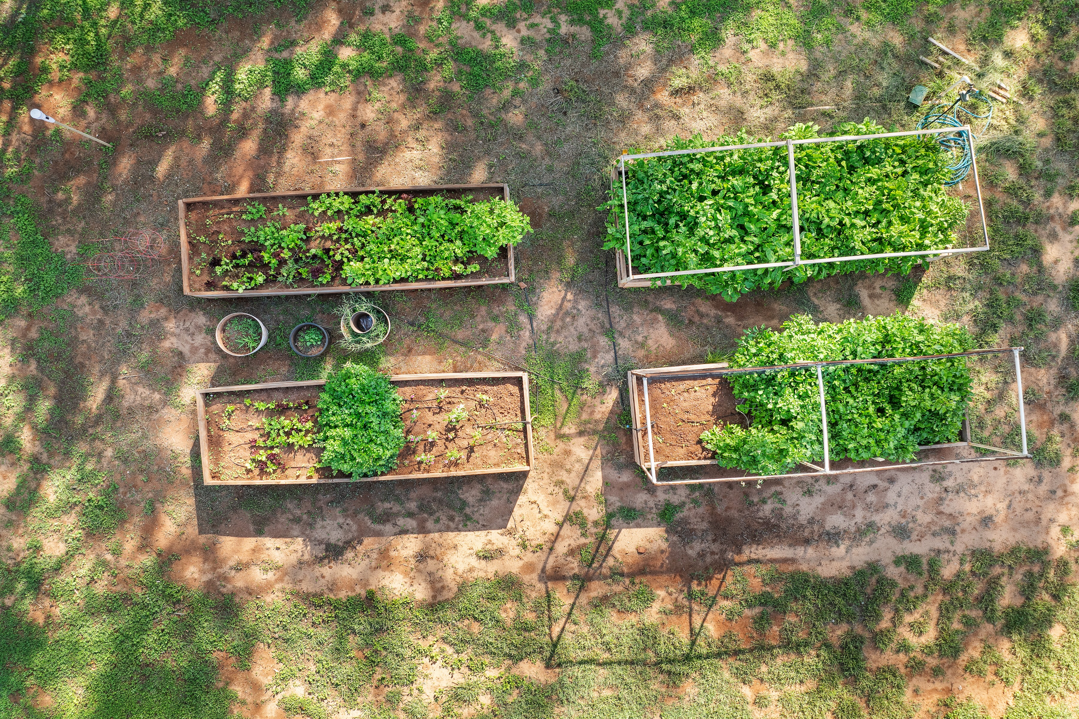  Timeless Hawaii Beachfront Retreat - 物件實景