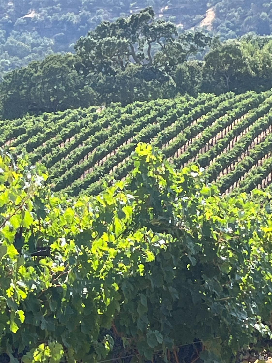 Napa, California, 94558, United States, 3 Bedrooms Bedrooms, ,3 BathroomsBathrooms,Residential,For Sale,1991897