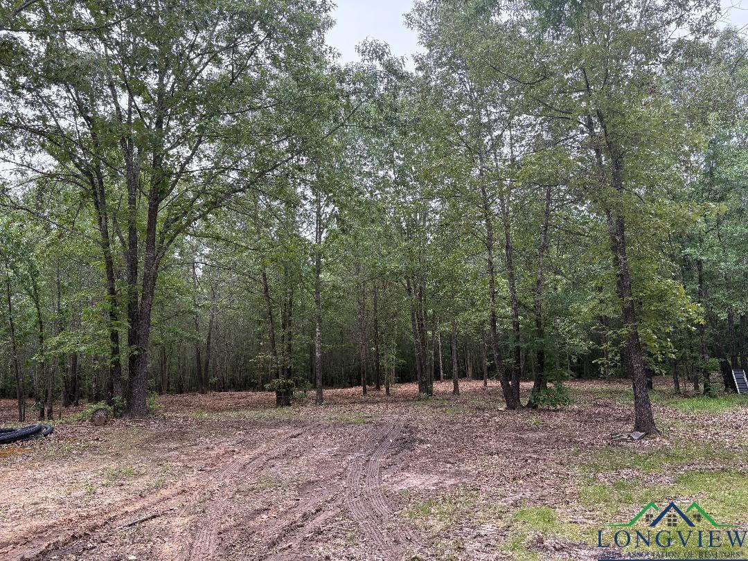 Bogata, Texas, 75417, United States, 1 Bedroom Bedrooms, ,1 BathroomBathrooms,Residential,For Sale,1712686