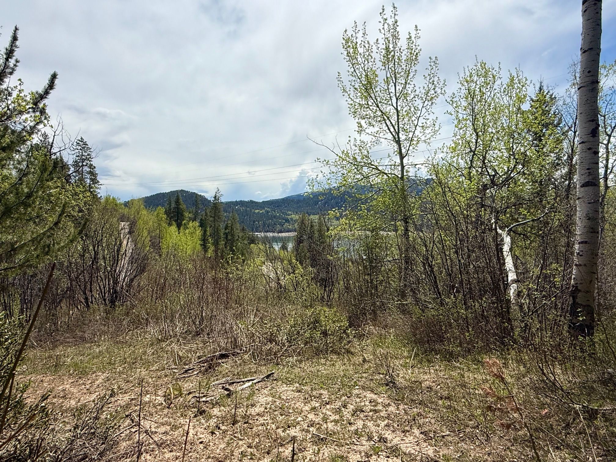  Property Overlooking the Palisades Reservoir - 物件實景