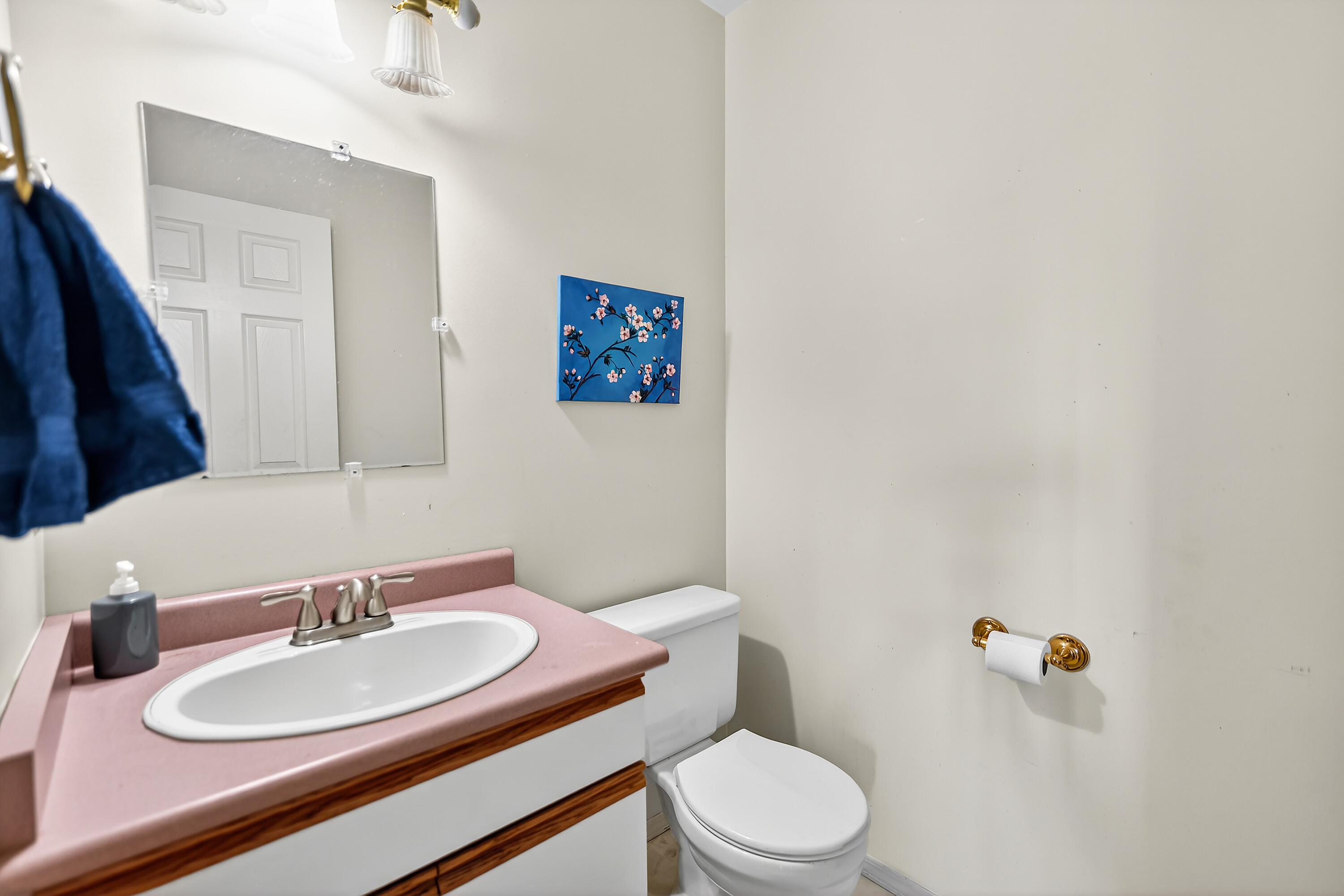  Fabulous Family Home - 物件實景