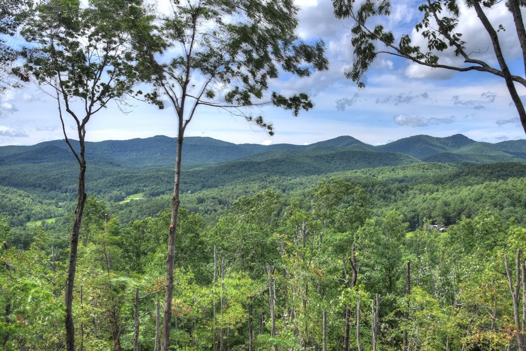 Mineral Bluff, Georgia, 30559, United States, 4 Bedrooms Bedrooms, ,4 BathroomsBathrooms,Residential,For Sale,1871299