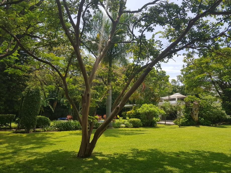 Yautepec, Morelos, 62730, Mexico, 4 Bedrooms Bedrooms, ,4 BathroomsBathrooms,Residential,For Sale,1918668