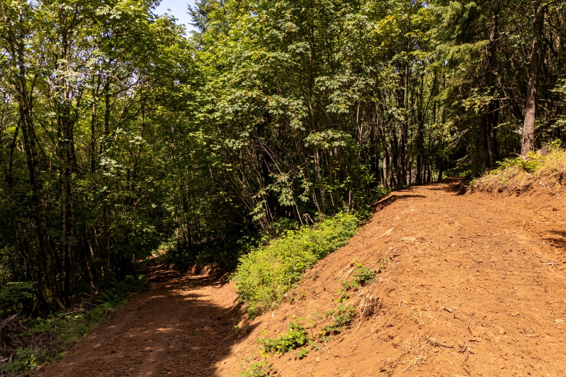  30540 NE BELL RD Newberg, OR 97132 - 物件實景