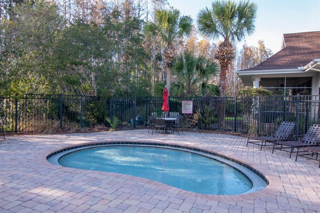 Land O Lakes, Florida, 34638, United States, 5 Bedrooms Bedrooms, ,4 BathroomsBathrooms,Residential,For Sale,2003047