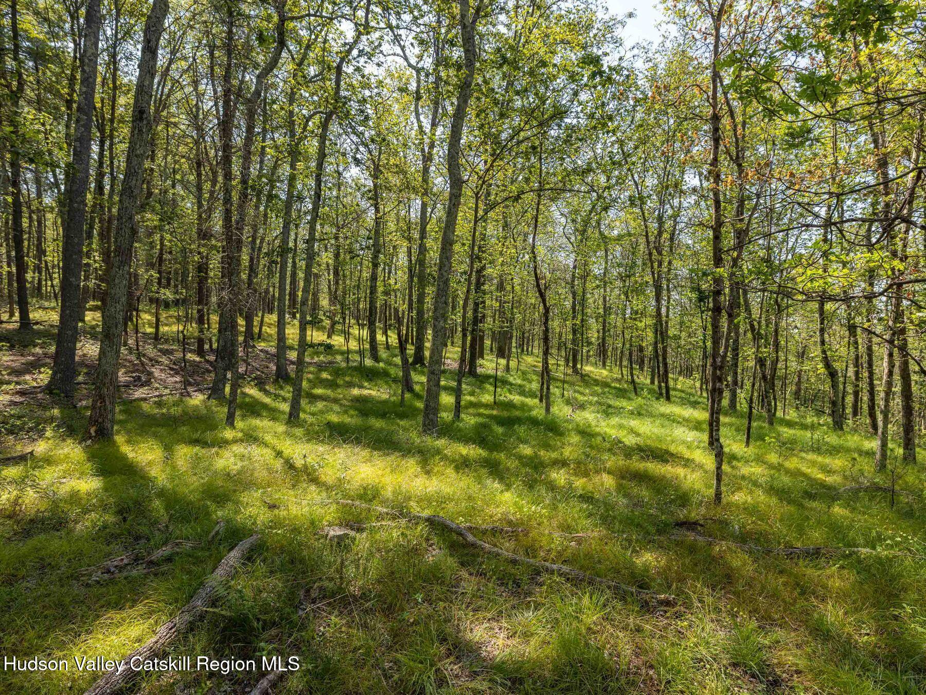 Hurley, New York, 12443, United States, ,Residential,For Sale,1947114