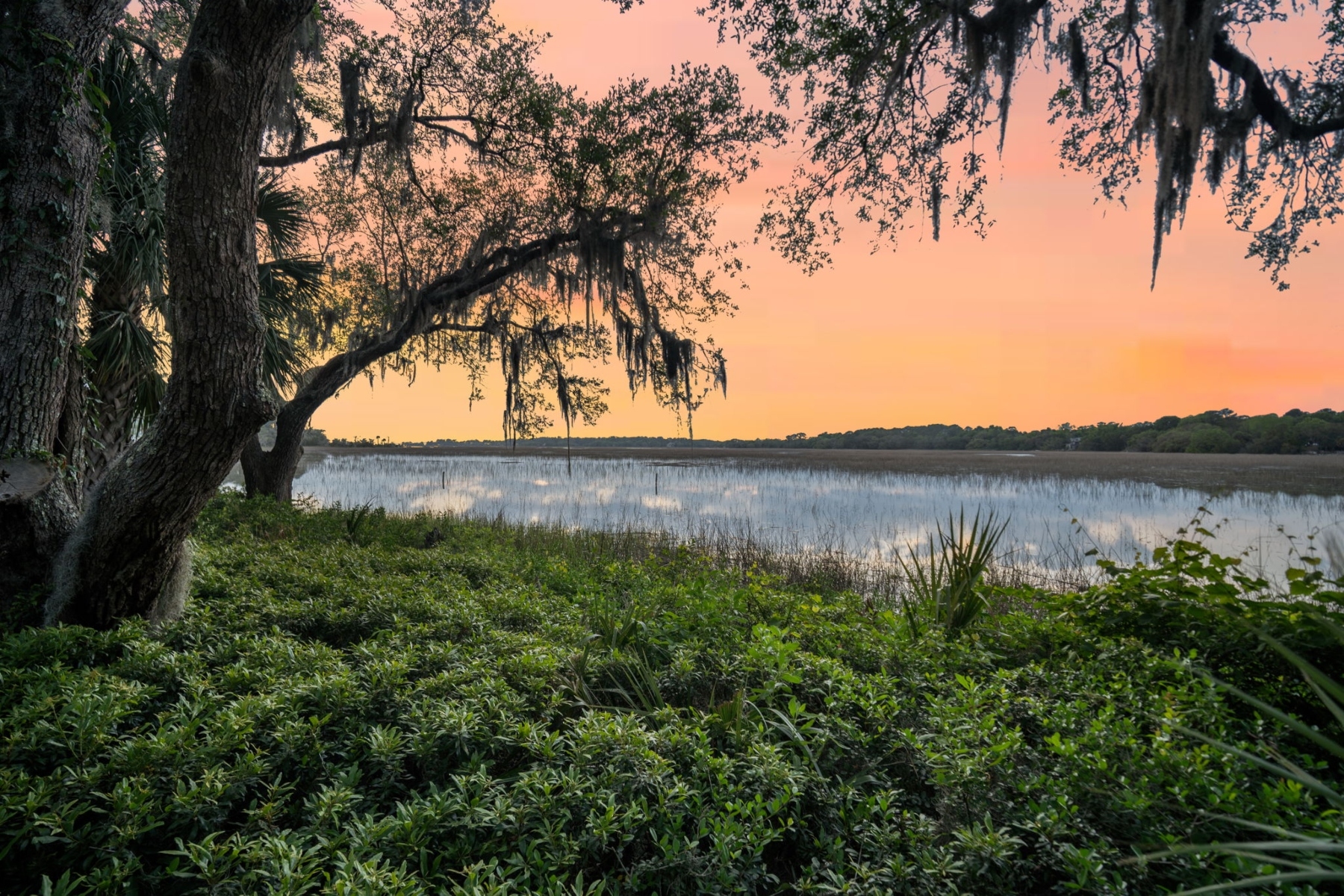  25 Seagrass Landing Court, Hilton Head Island - 物件實景