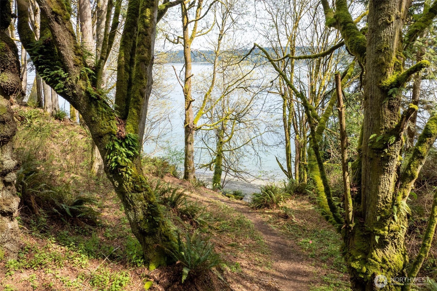 Port Orchard, Washington, 98367, United States, ,Land,For Sale,1767401