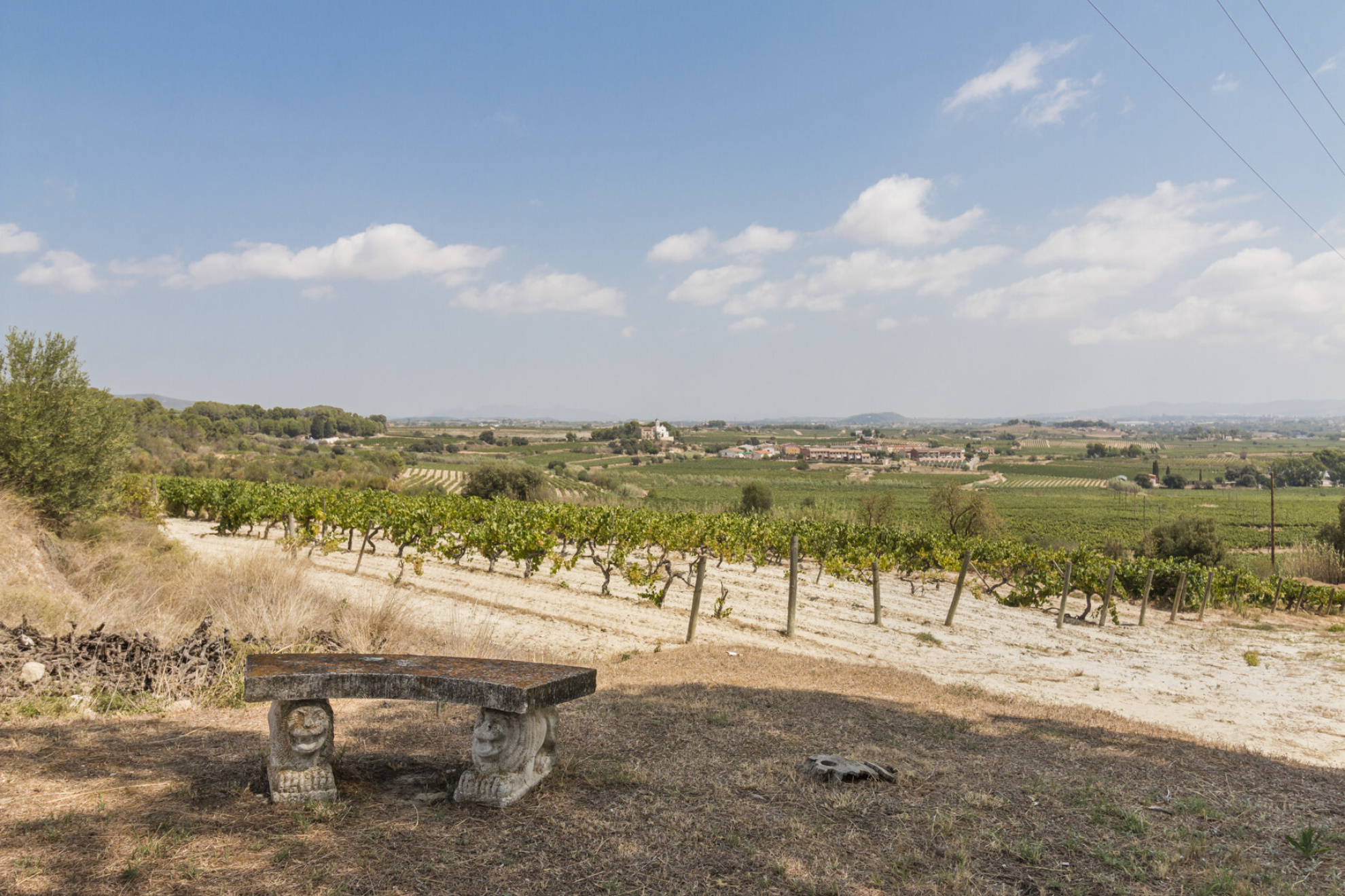  Historic Winery Estate with Vineyards in Penedes for Sale. - 物件實景