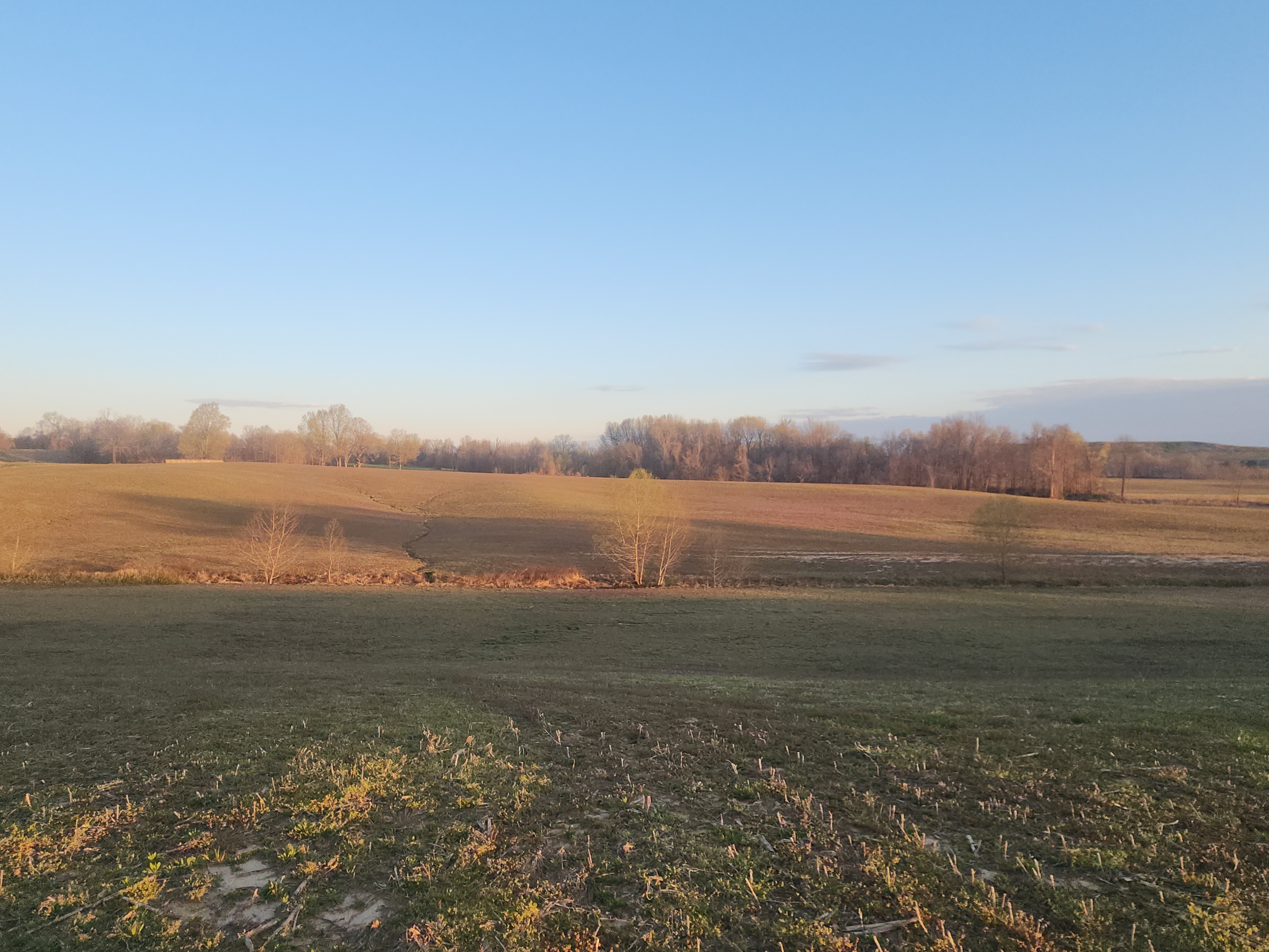 Union City, Tennessee, 38261, United States, ,Land,For Sale,1982811