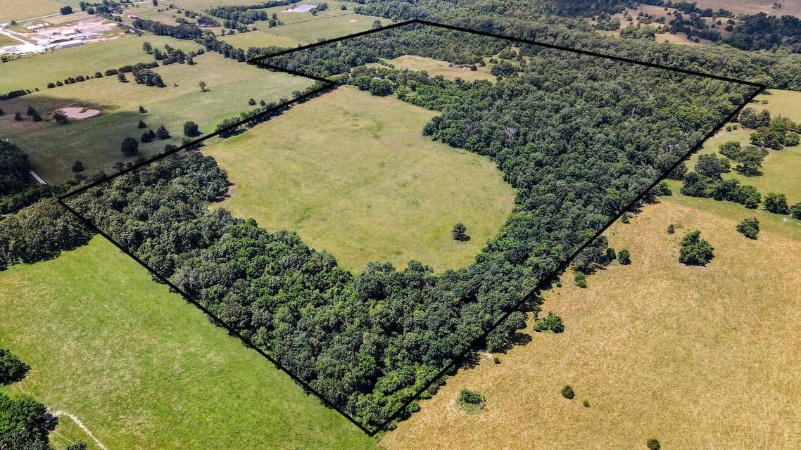 Peace Valley, Missouri, 65788, United States, 5 Bedrooms Bedrooms, ,1 BathroomBathrooms,Residential,For Sale,1980940