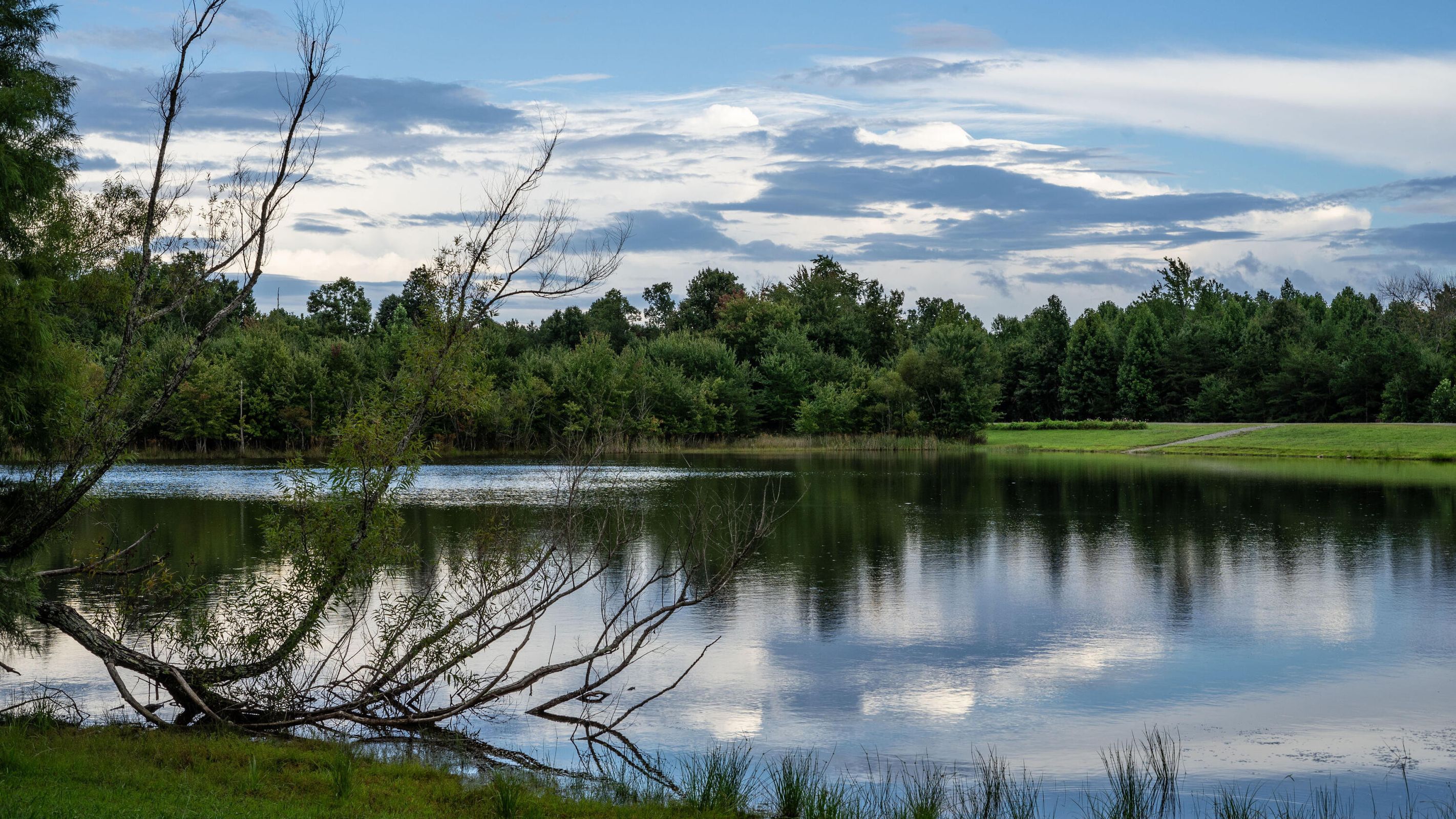 Dunlap, Tennessee, 37327, United States, 3 Bedrooms Bedrooms, ,3 BathroomsBathrooms,Residential,For Sale,1976318