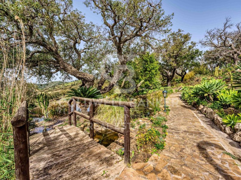 Marbella, Andalusia, ES, 7 Bedrooms Bedrooms, ,7 BathroomsBathrooms,Residential,For Sale,1939436
