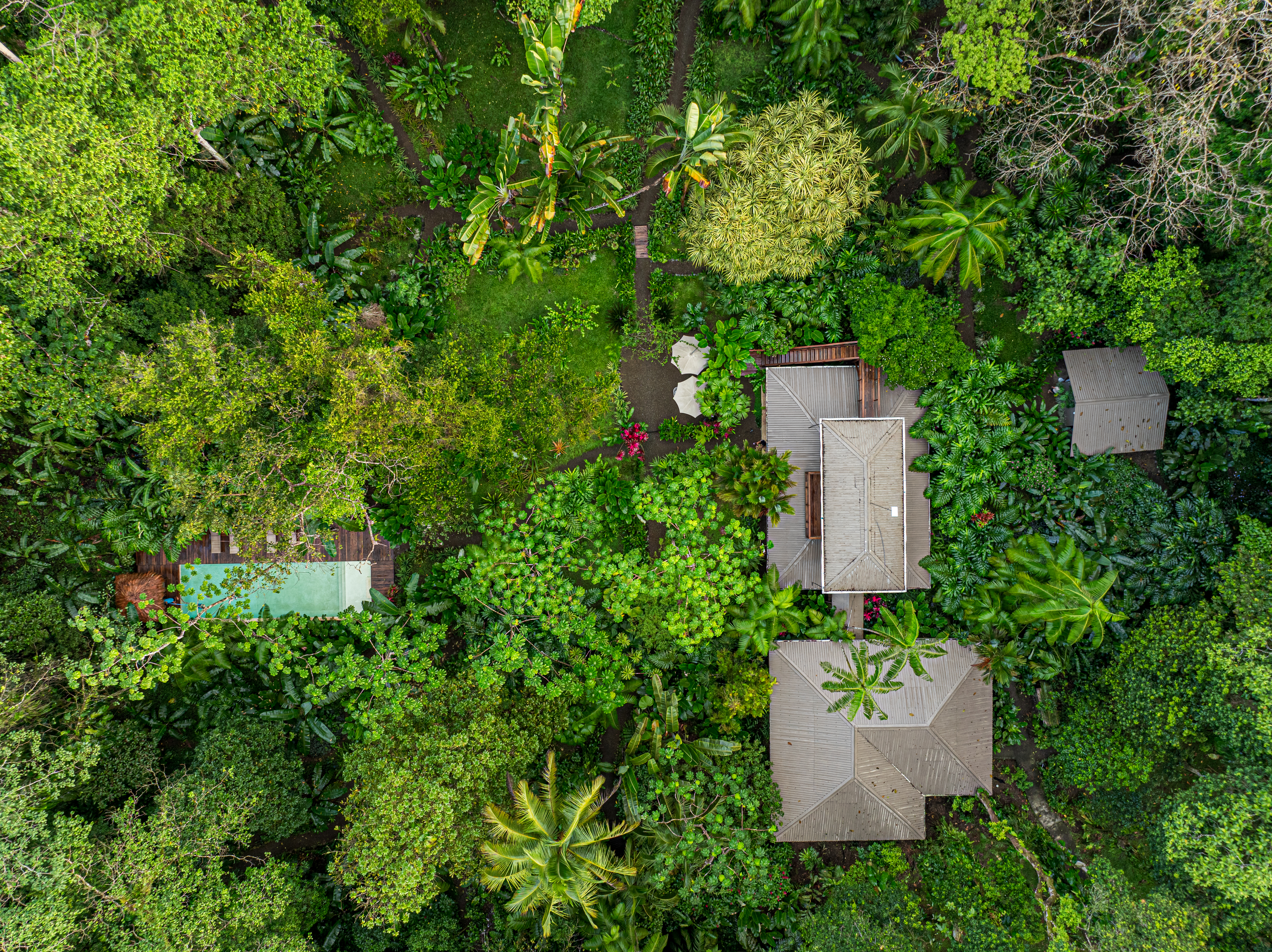Golfito, Puntarenas, CR, 15 Bedrooms Bedrooms, ,13 BathroomsBathrooms,Residential,For Sale,1903279