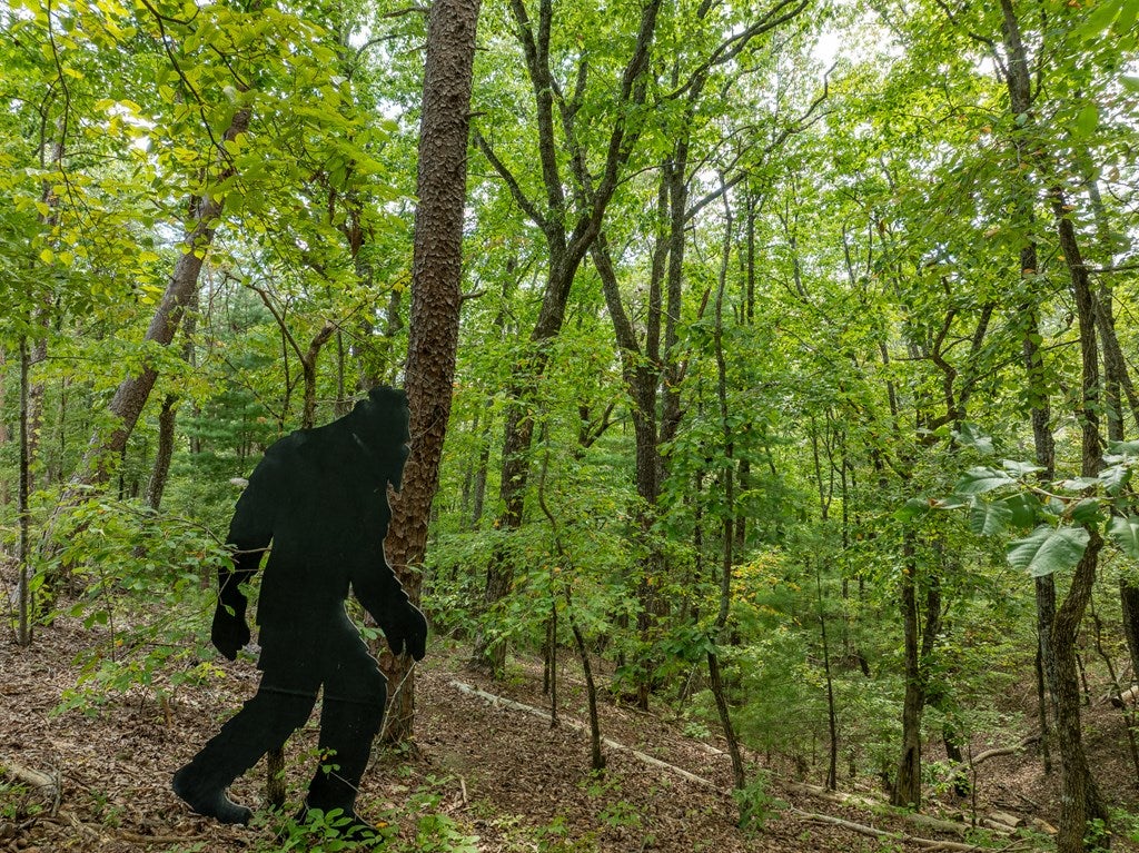 Talking Rock, Georgia, 30175, United States, 3 Bedrooms Bedrooms, ,2 BathroomsBathrooms,Residential,For Sale,1972069