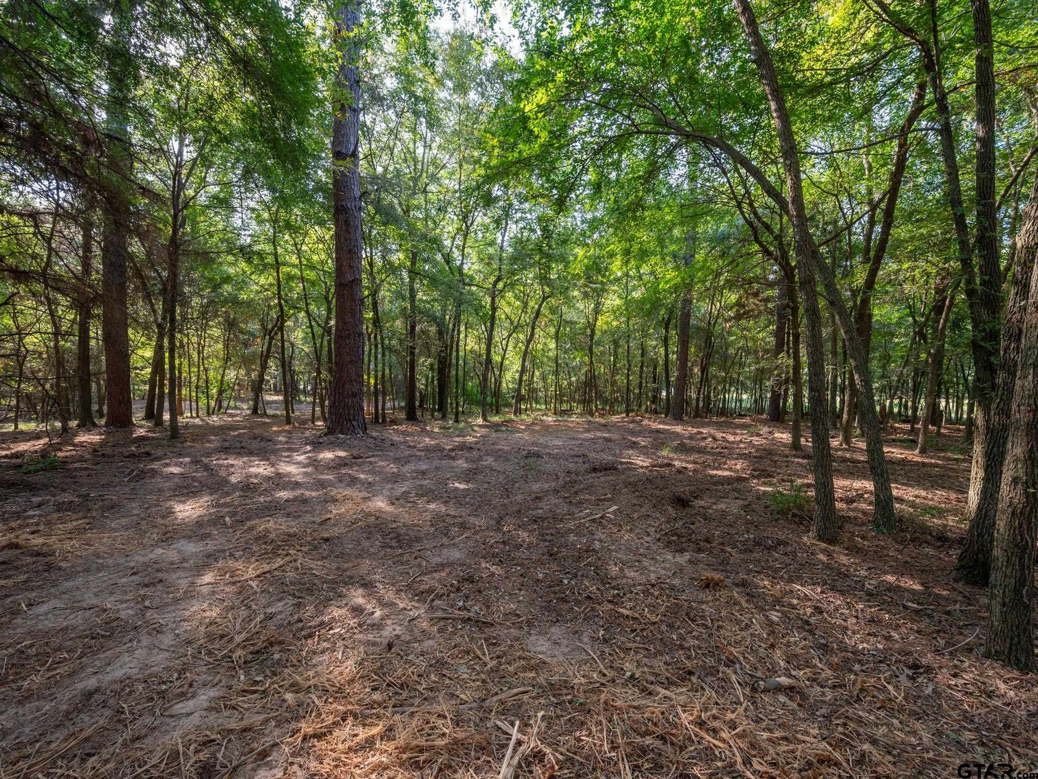 Chandler, Texas, 75758, United States, ,Land,For Sale,1826674