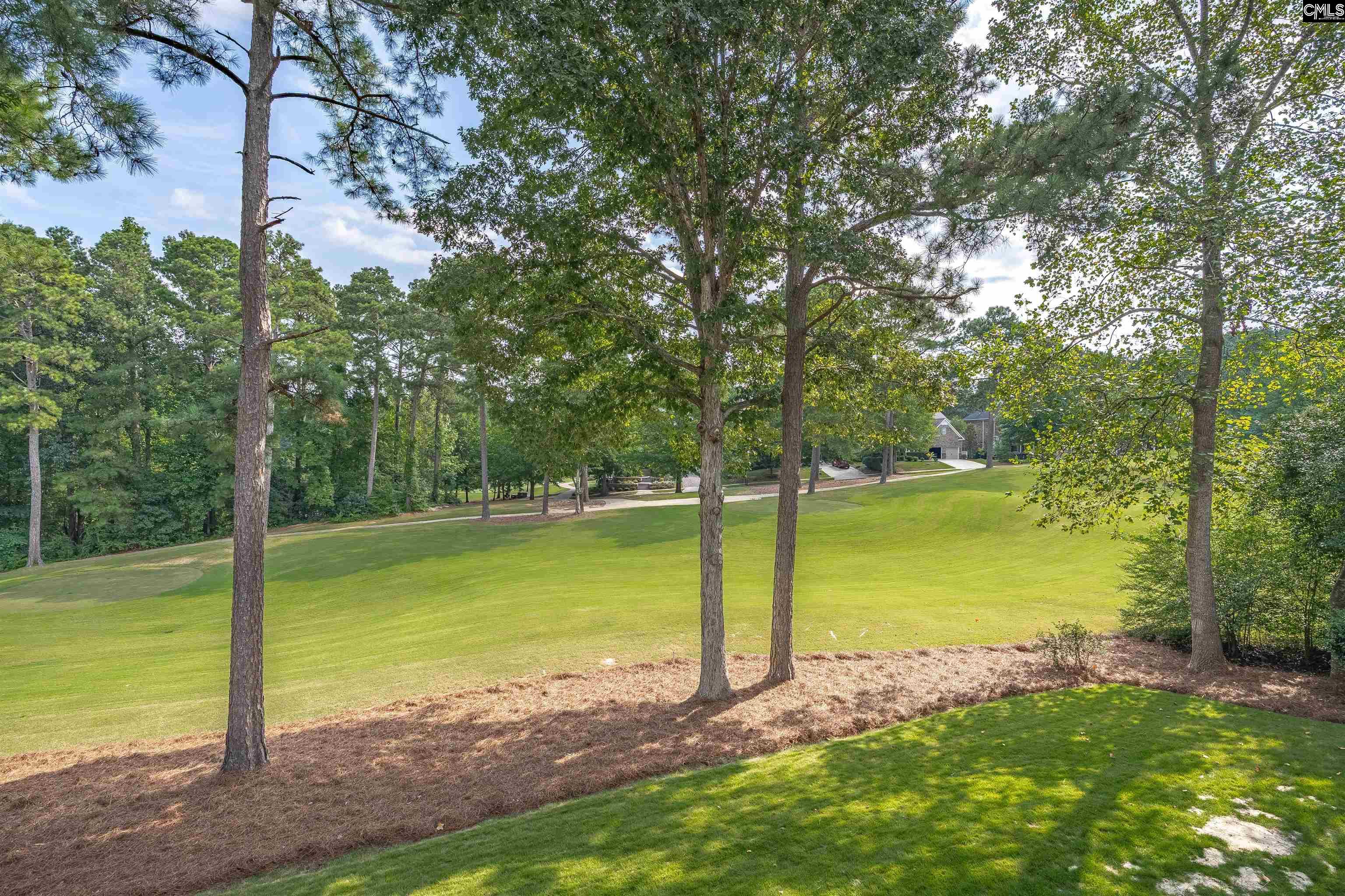 Blythewood, South Carolina, 29016, United States, 5 Bedrooms Bedrooms, ,5 BathroomsBathrooms,Residential,For Sale,1932792