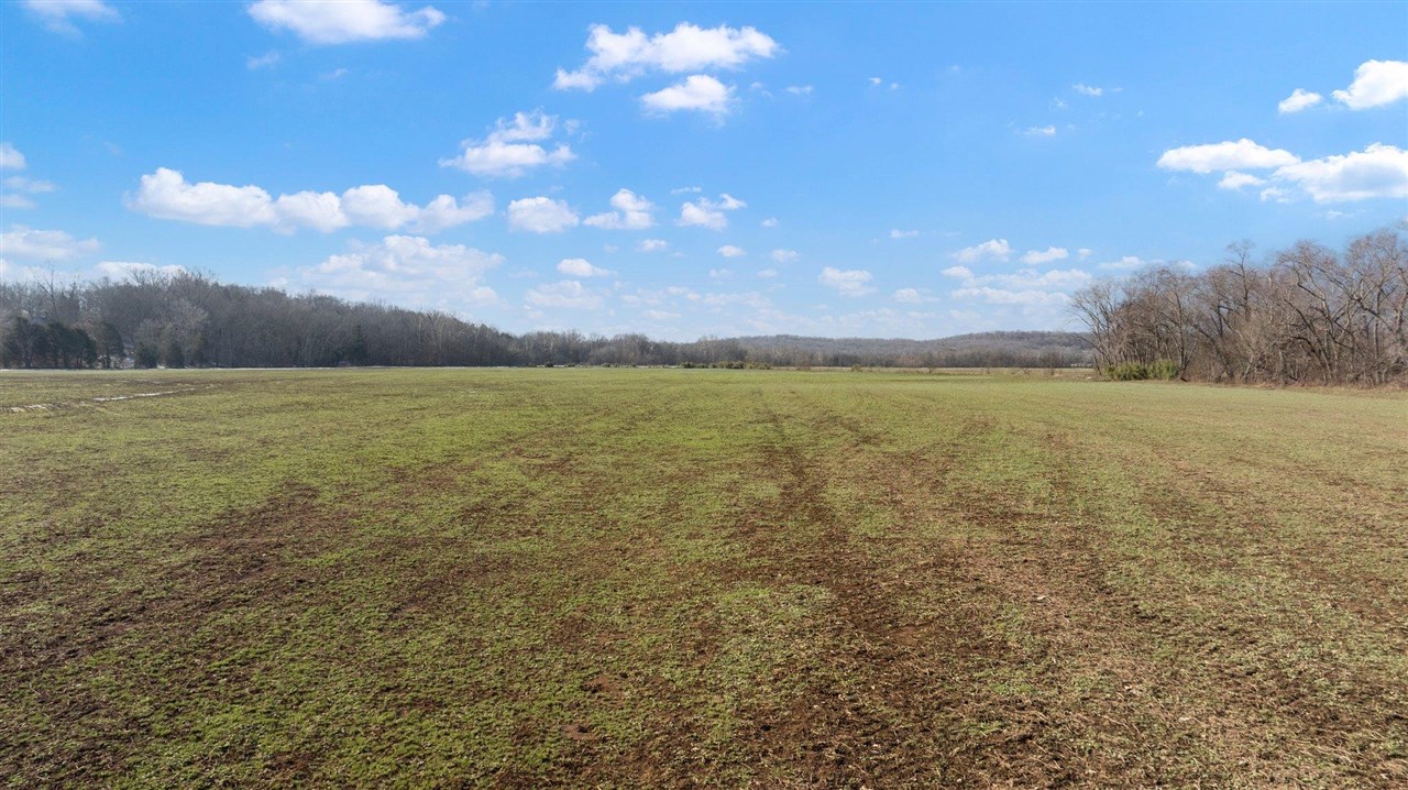Lewisburg, Kentucky, 42256, United States, ,Land,For Sale,1688645