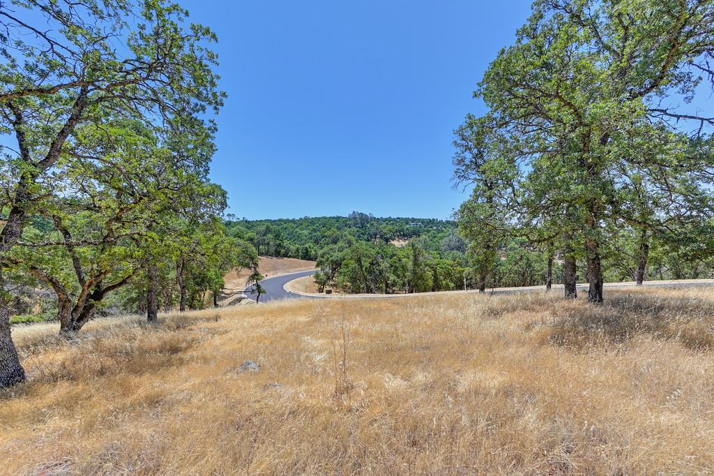 El Dorado Hills, California, 95762, United States, ,Land,For Sale,1874458