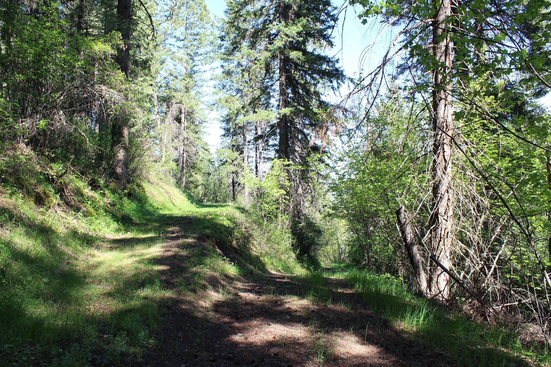  881 S Allen Rd and 2714 E Haven Dr Coeur d
