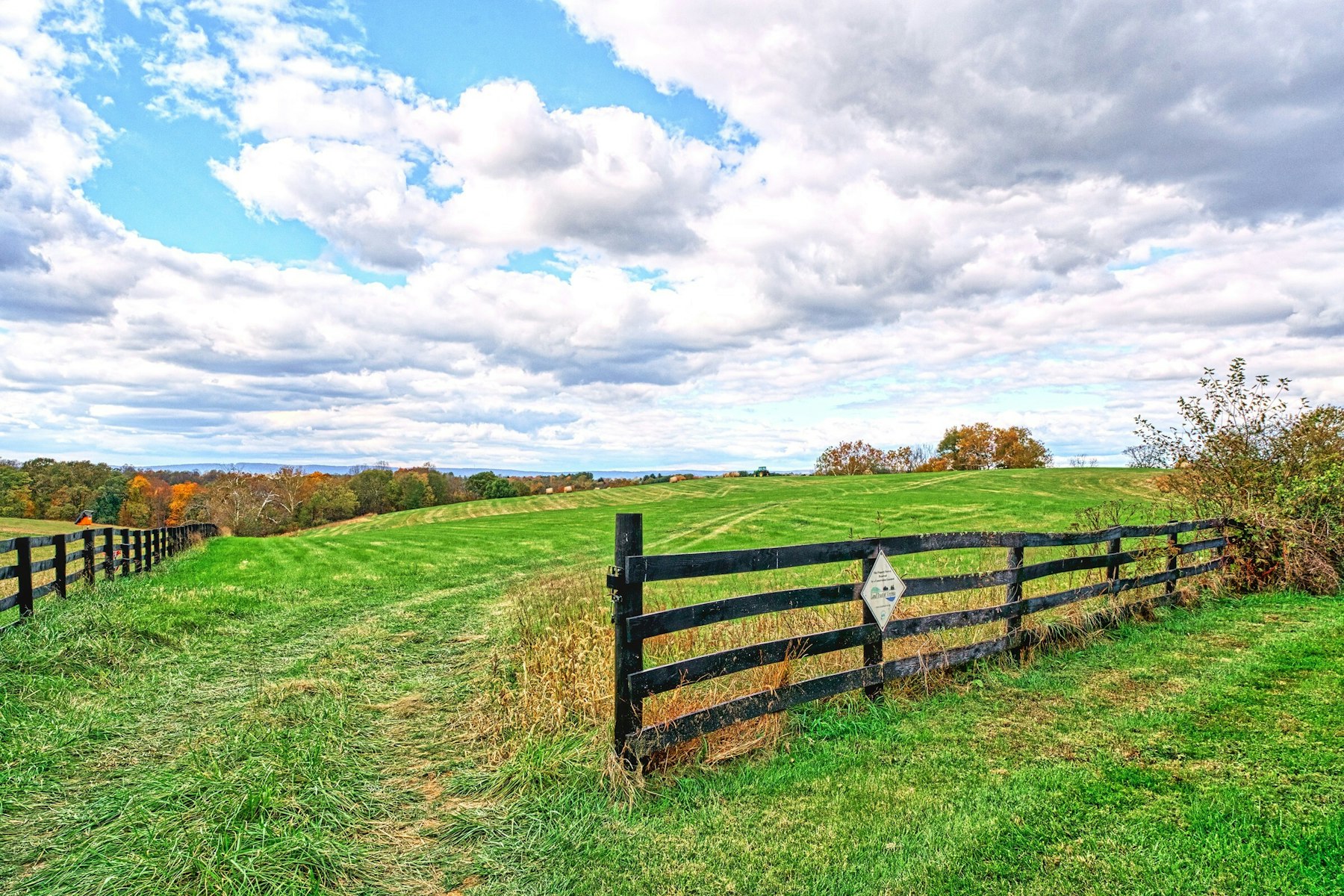  13223 Loyalty Road, Leesburg, VA 20176 - 物件實景