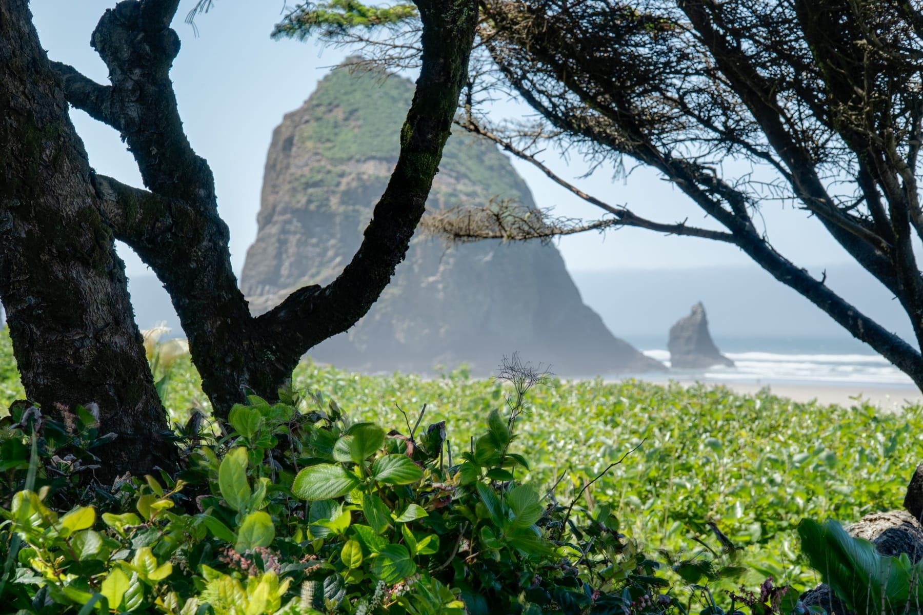  1360 PACIFIC ST Cannon Beach, OR 97110 - 物件實景