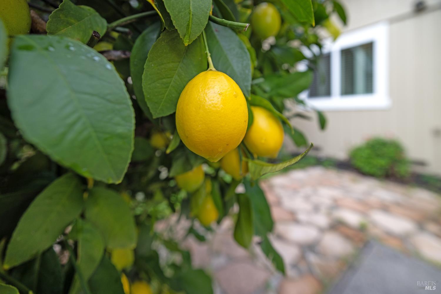 Santa Rosa, California, 95409, United States, 3 Bedrooms Bedrooms, ,2 BathroomsBathrooms,Residential,For Sale,2005297