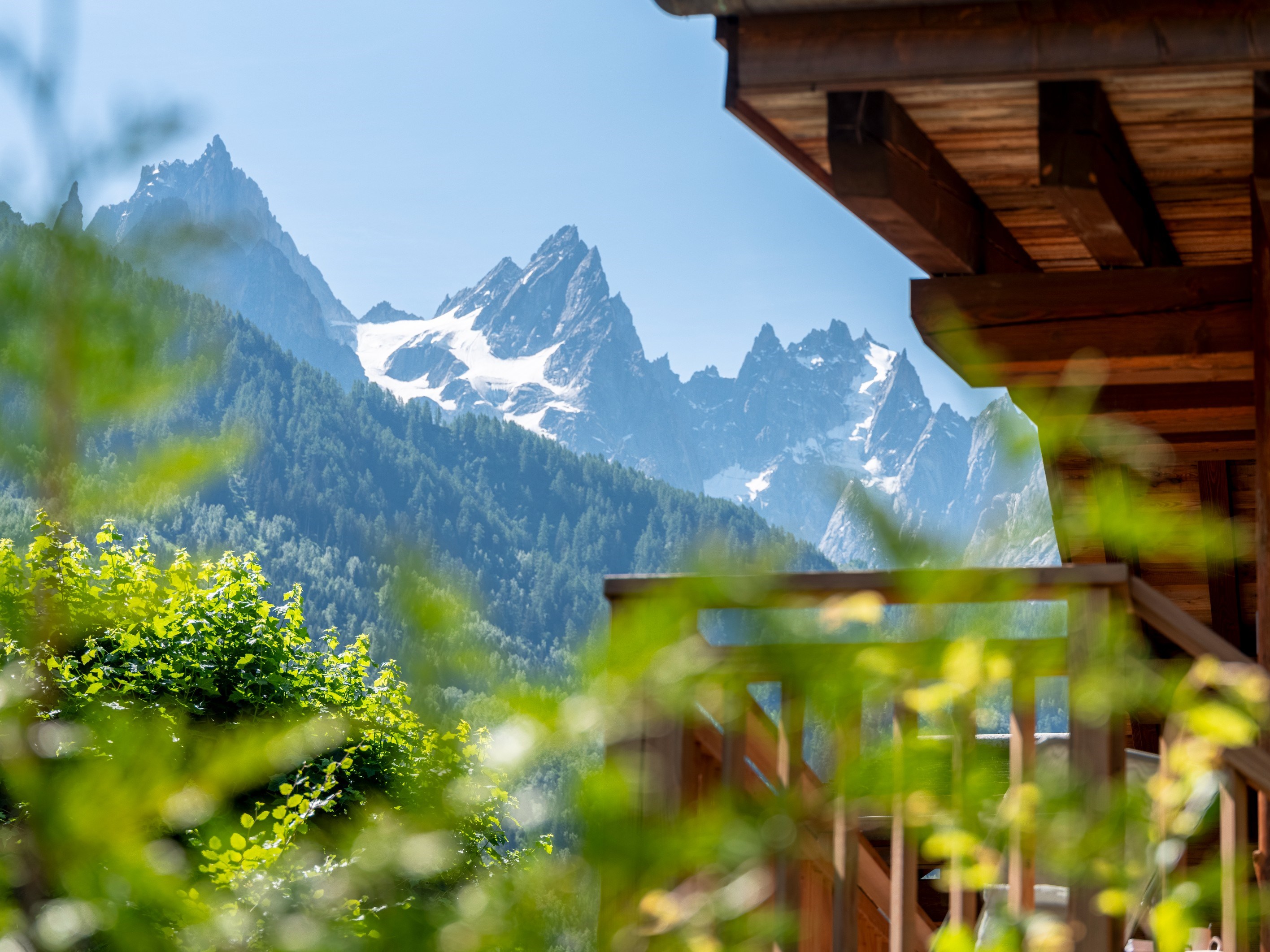  EXCLUSIVITY - CHALET LILY - 物件實景