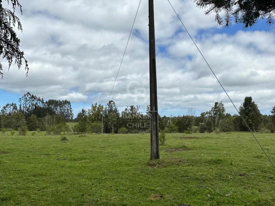 Maullín, Chile, ,Residential,For Sale,1994517