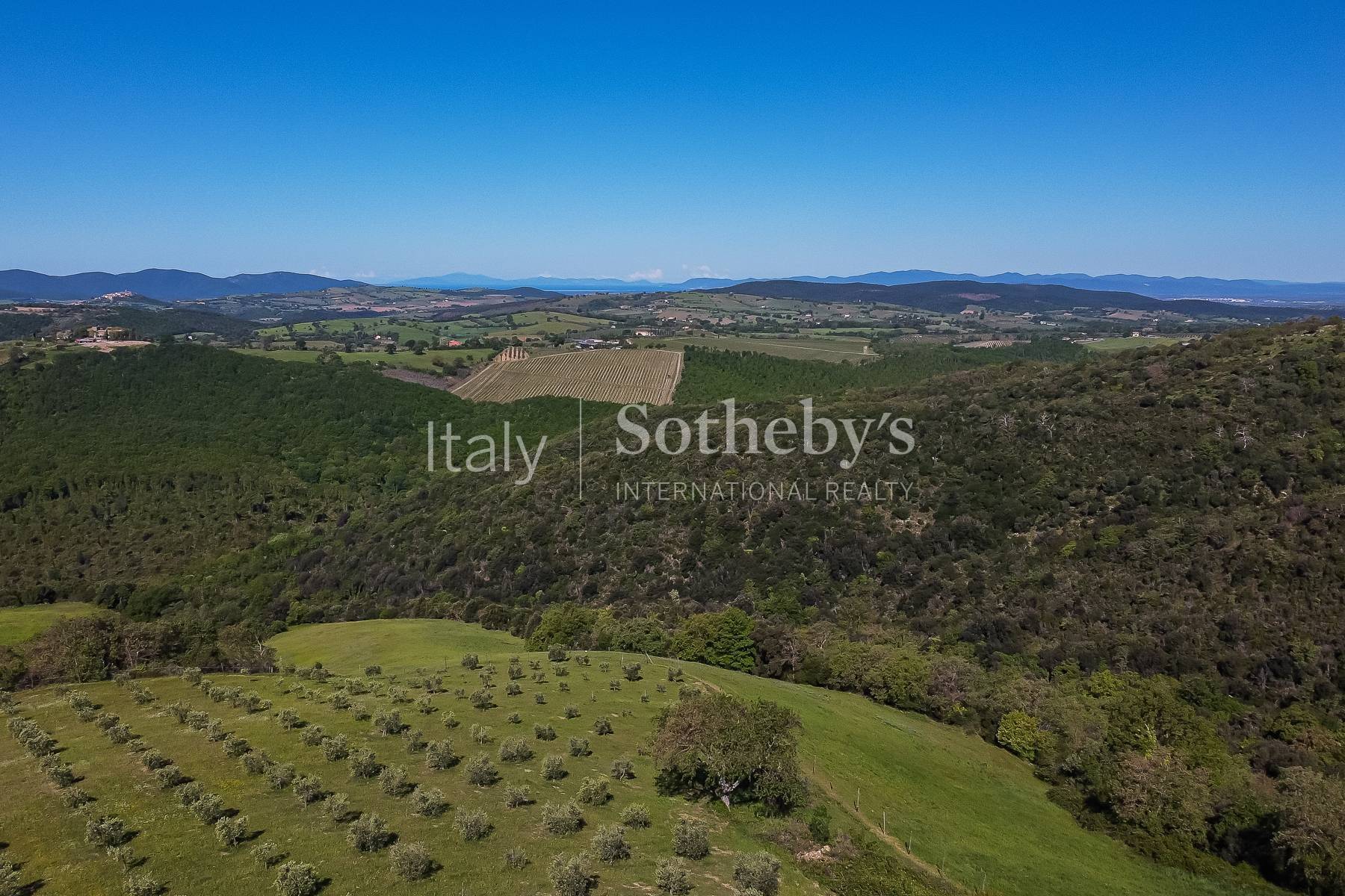  Exclusive wine estate in the Tuscan hills - 物件實景