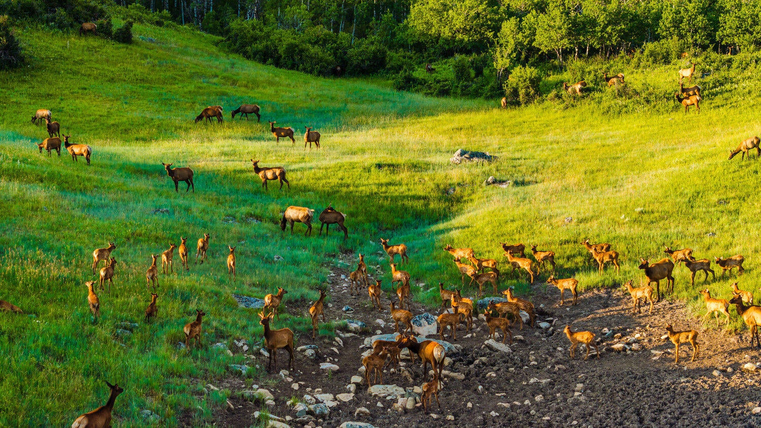 Big Horn, Wyoming, 82833, United States, 3 Bedrooms Bedrooms, ,4 BathroomsBathrooms,Residential,For Sale,2011301