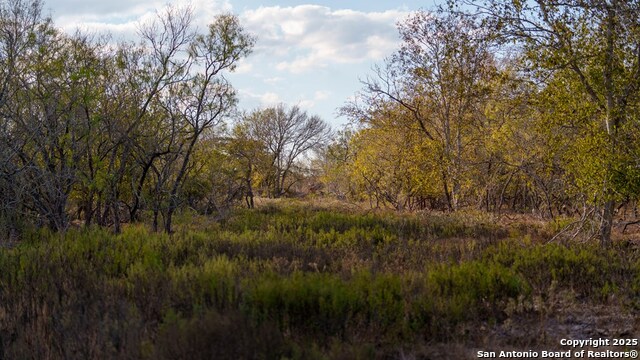 Other, 11111, United States, ,Land,For Sale,1951420