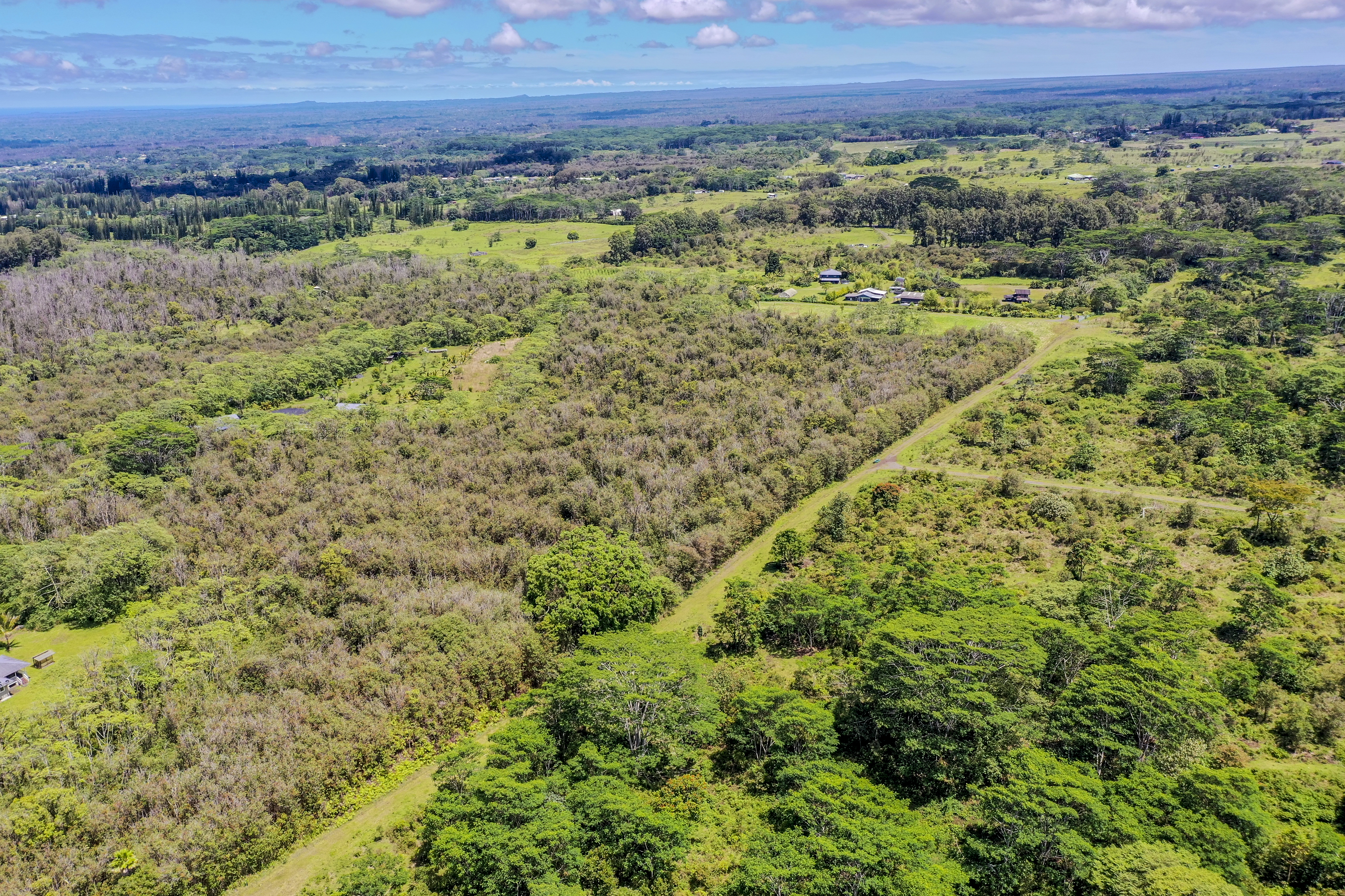  17-820 Manaolana Road, Kurtistown, HI, 96760 - 物件實景