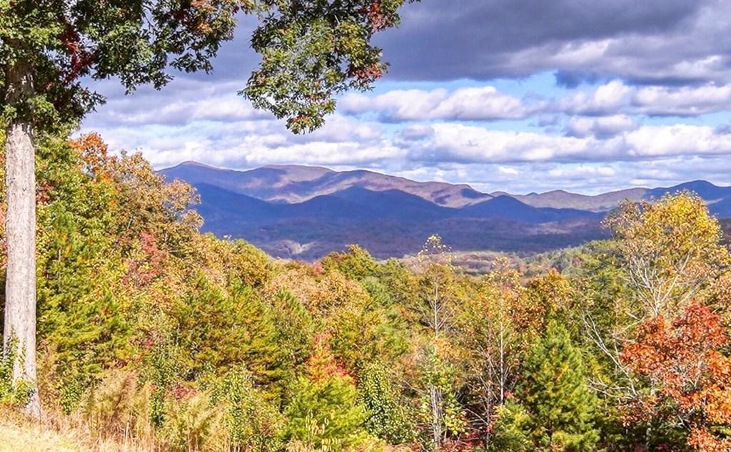 Blairsville, Georgia, 30512, United States, 5 Bedrooms Bedrooms, ,4 BathroomsBathrooms,Residential,For Sale,1770772