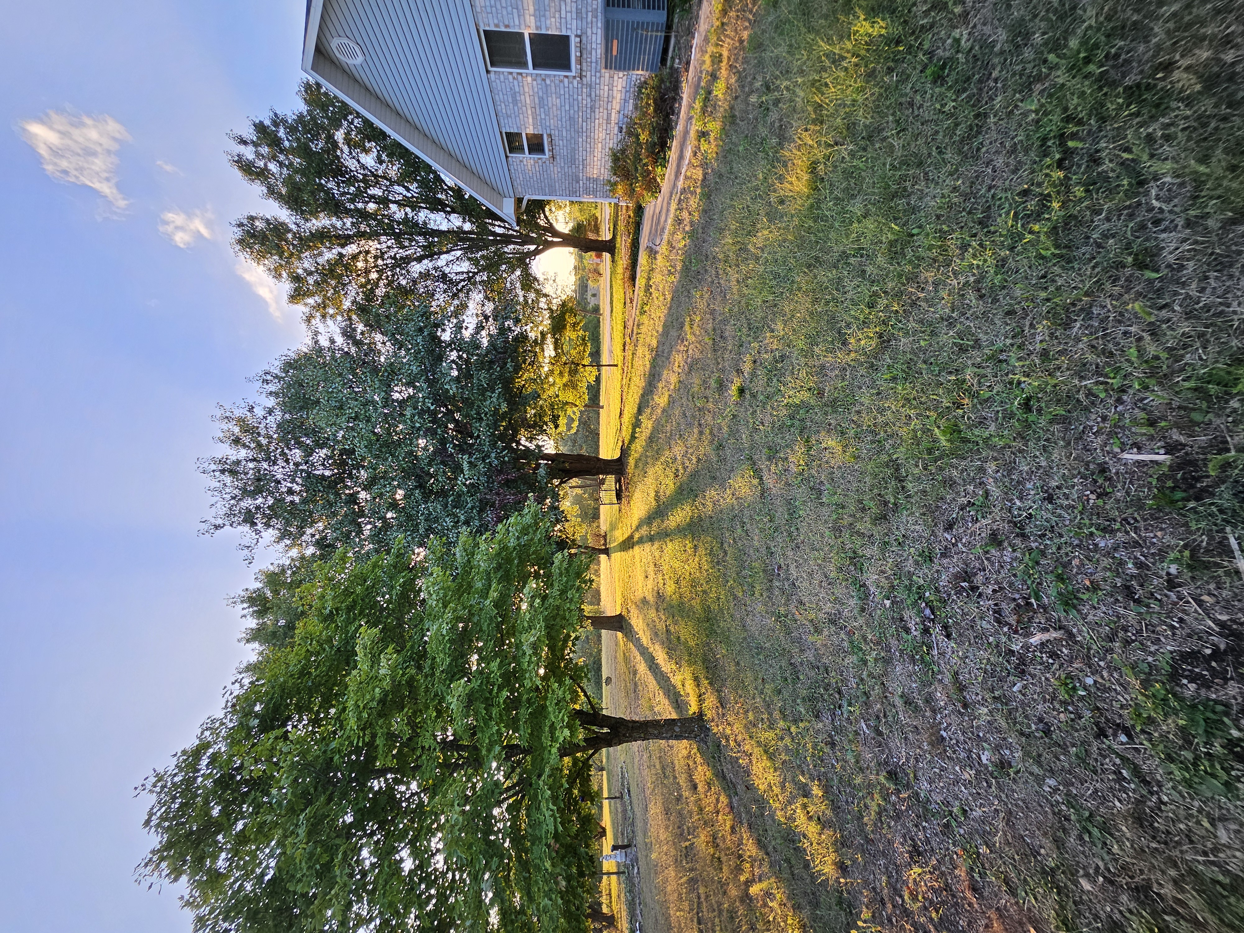 Pierce City, Missouri, 65723, United States, 5 Bedrooms Bedrooms, ,3 BathroomsBathrooms,Residential,For Sale,1975319