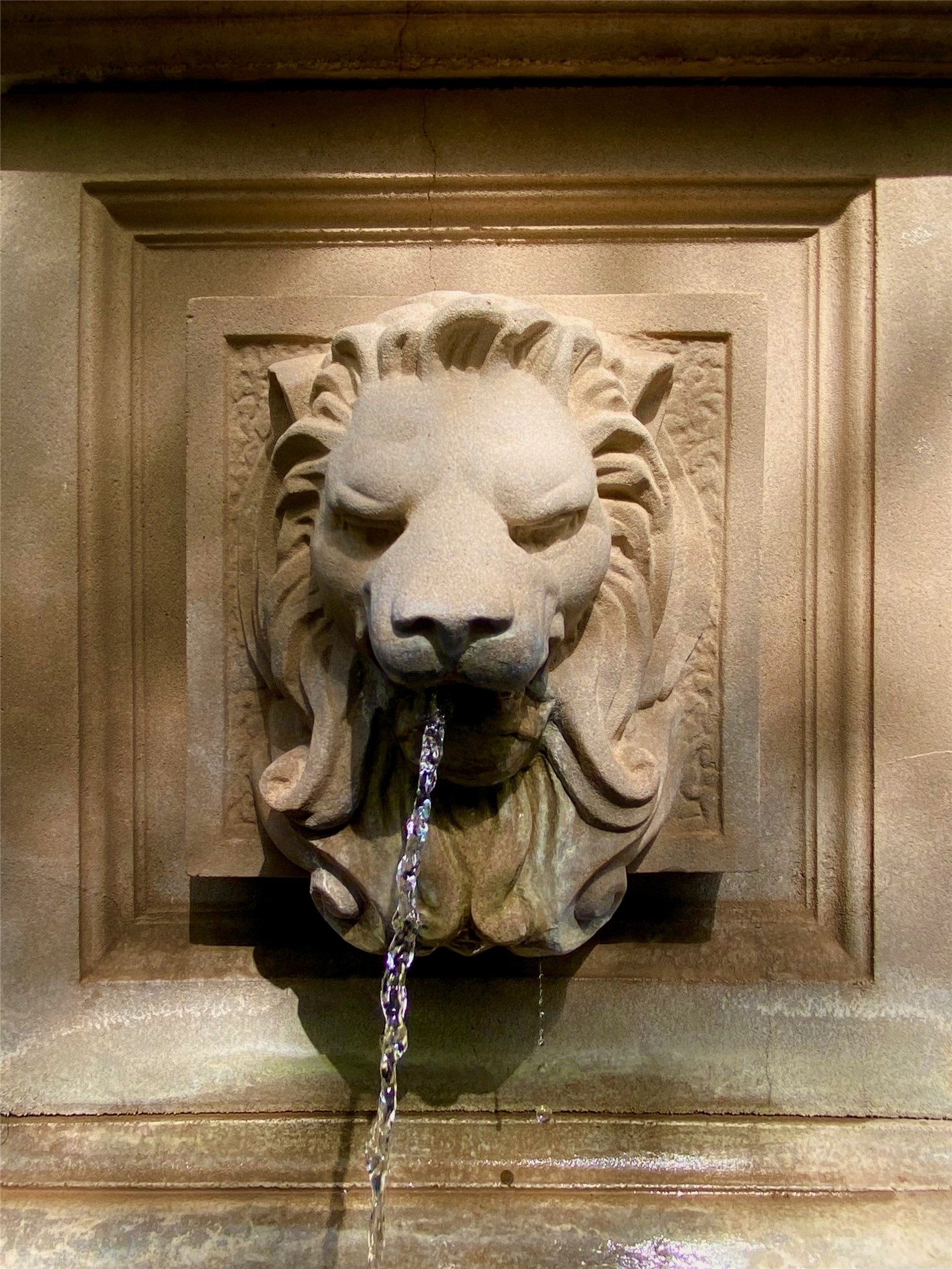  301 Central Avenue Ne #113 - 物件實景