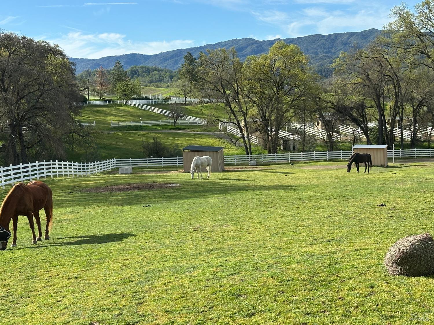 Kelseyville, California, 95451, United States, 3 Bedrooms Bedrooms, ,2 BathroomsBathrooms,Residential,For Sale,1974568