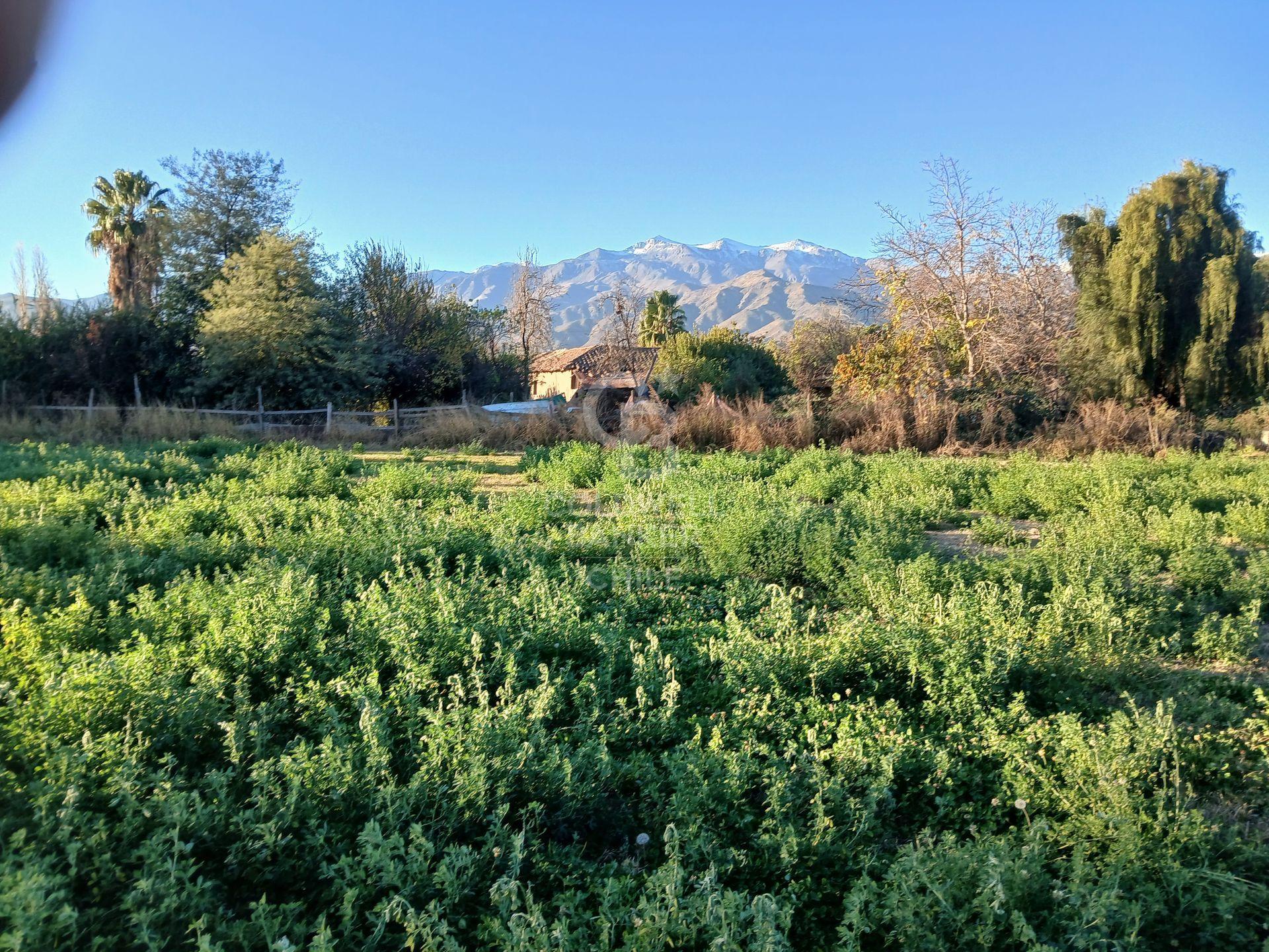 San Esteban, Chile, ,Land,For Sale,1926022