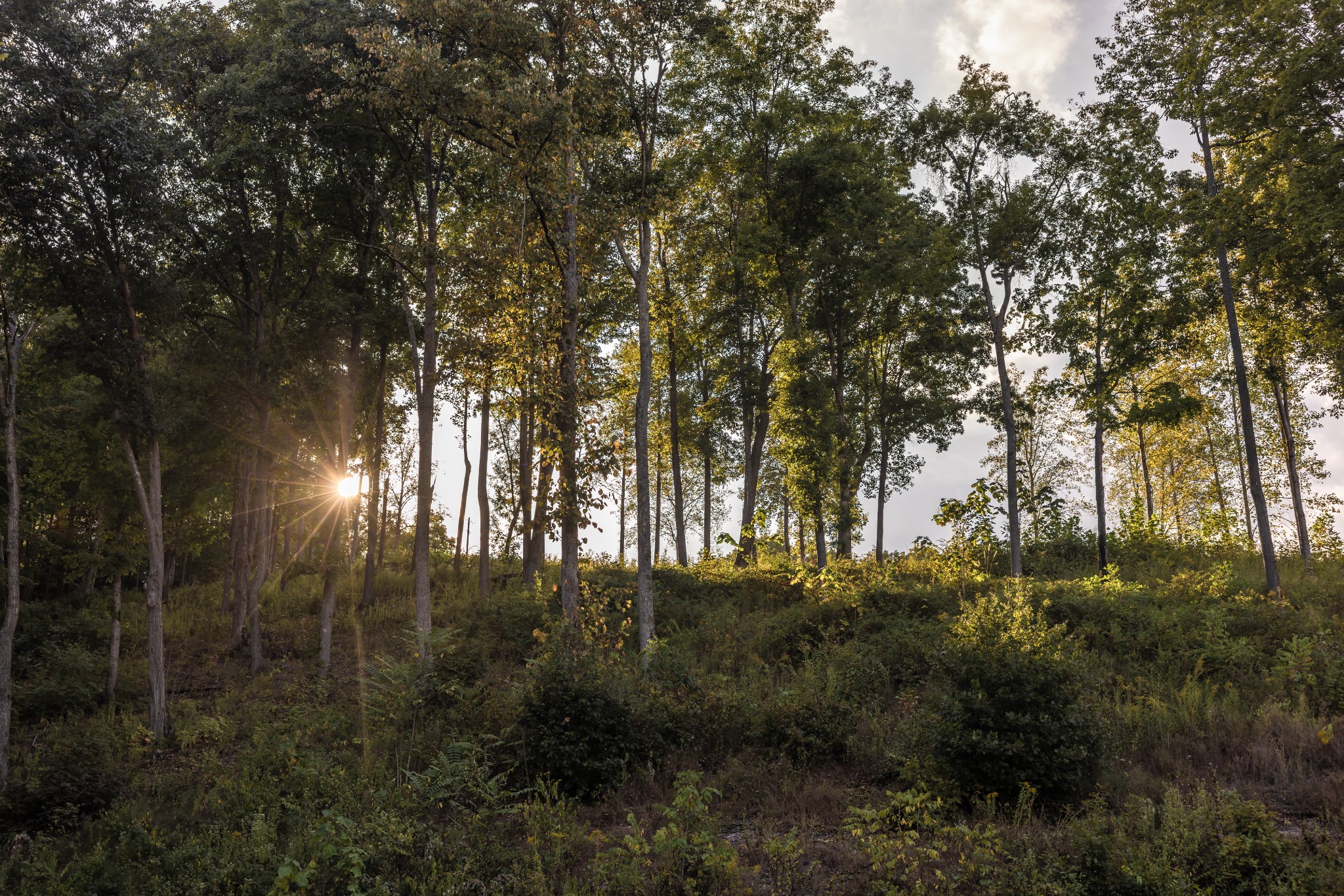  4273 Algie Sewell Rd, Columbia, TN, 38401 - 物件實景